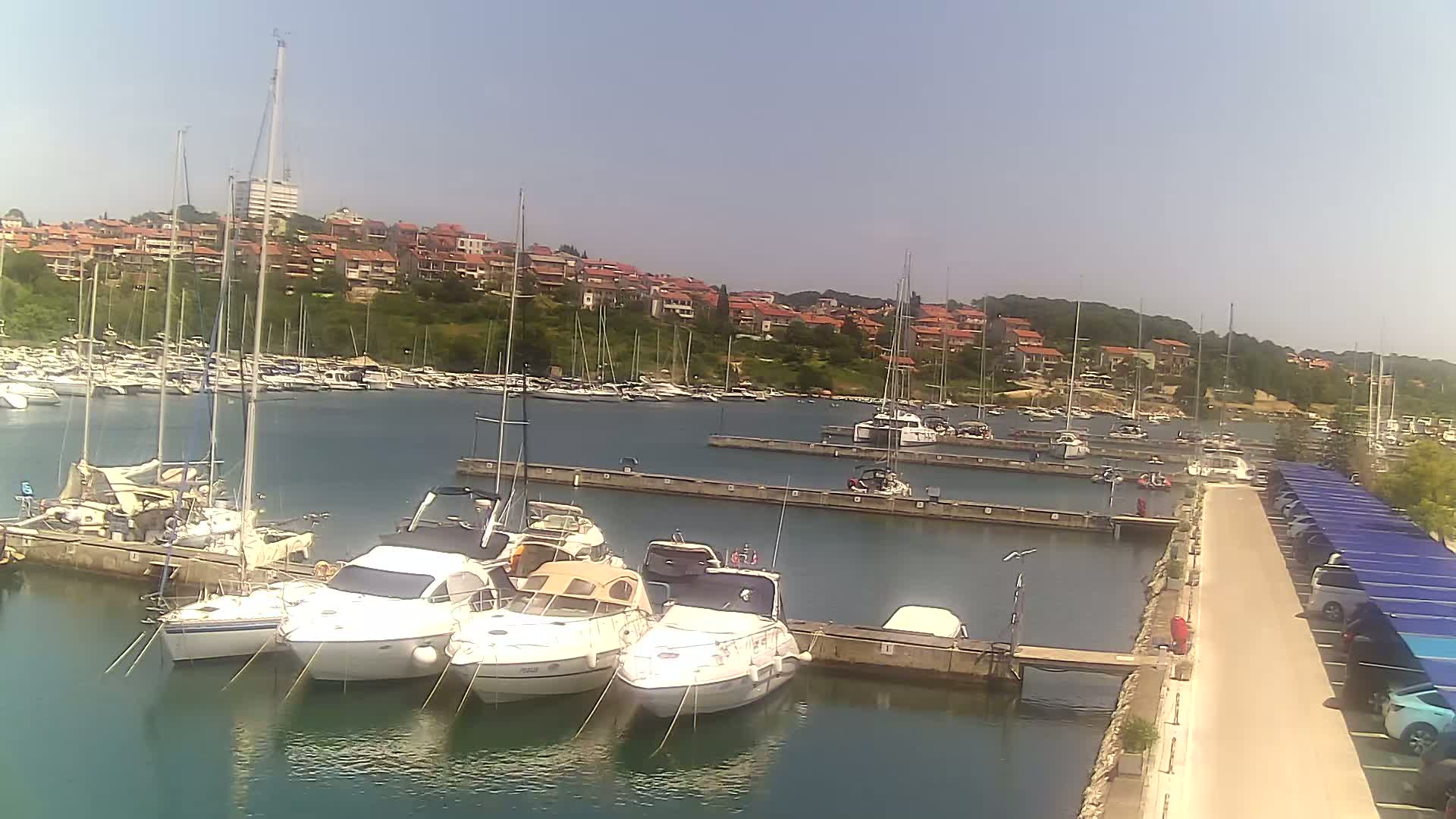 A marina filled with sailboats and motorboats on a sunny day, with a residential area visible in the background.