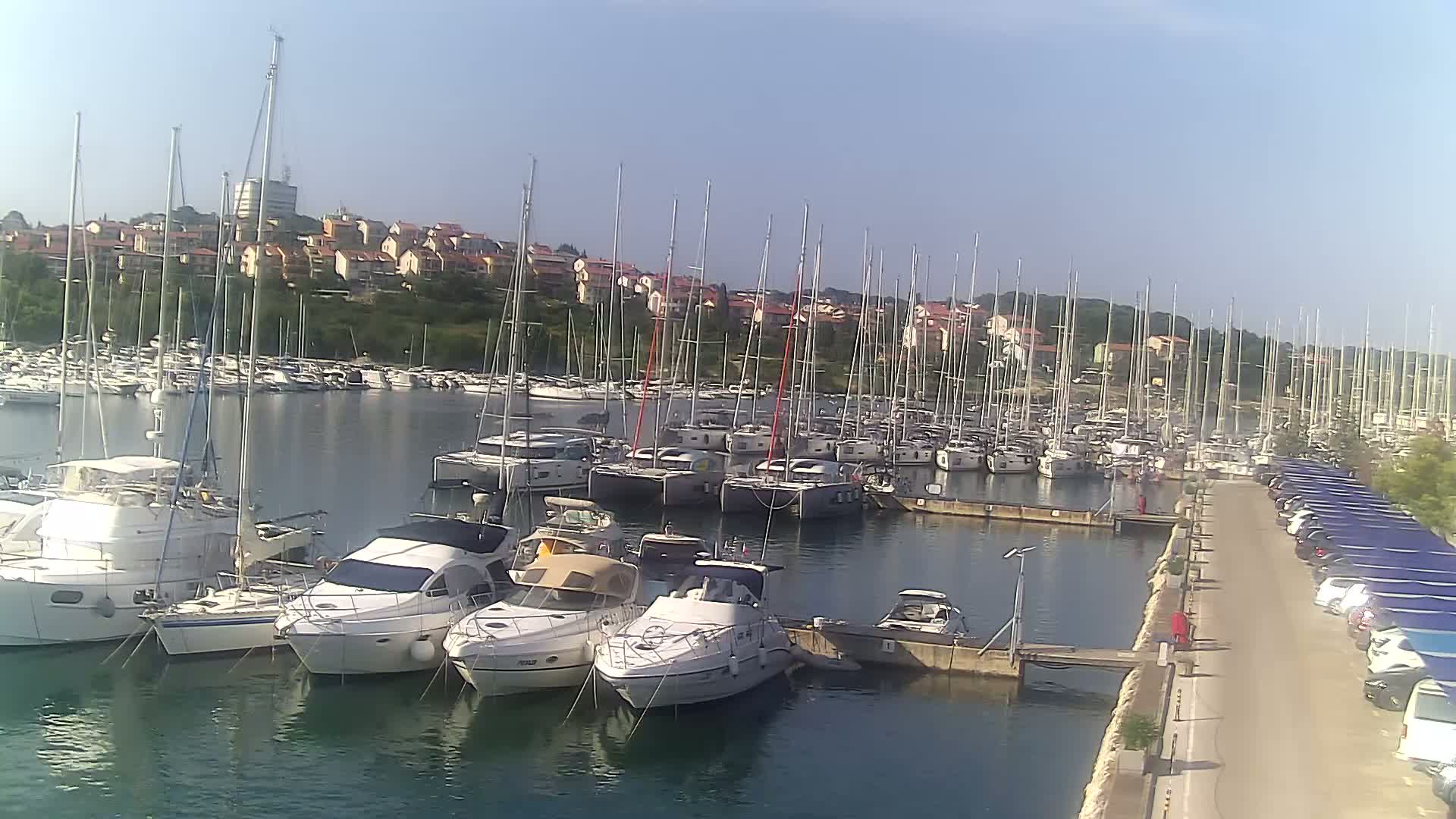 Numerous sailboats and motorboats are docked in a marina on a sunny day, with a residential area visible in the background.
