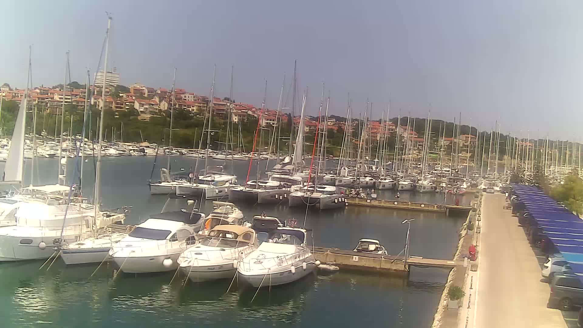 A marina filled with numerous sailboats and motorboats is situated on calm water under a clear, sunny sky, with a residential area visible in the background.