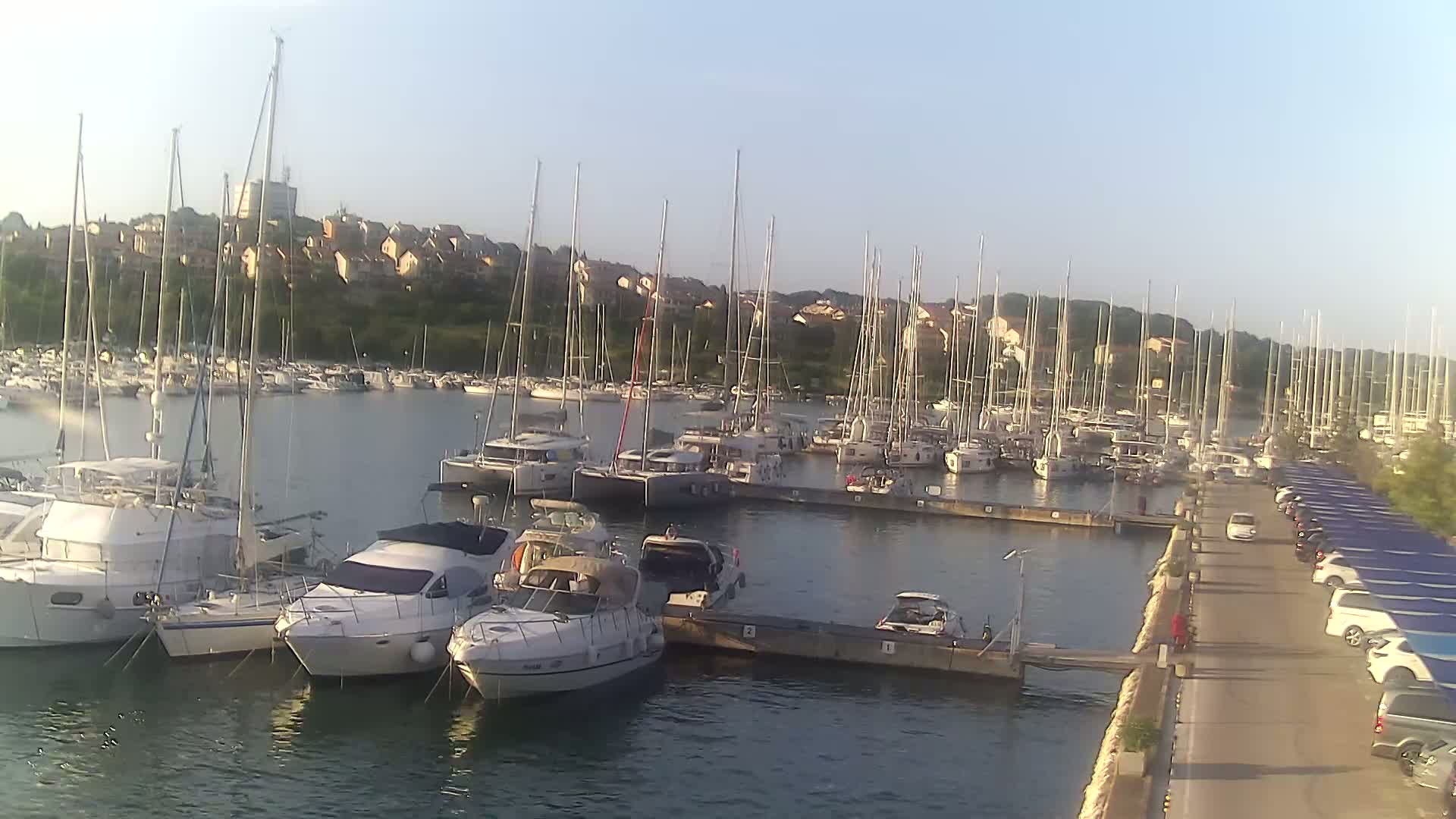 Numerous sailboats and motorboats are docked in a marina on a calm, sunny day, with a hillside of houses visible in the background.
