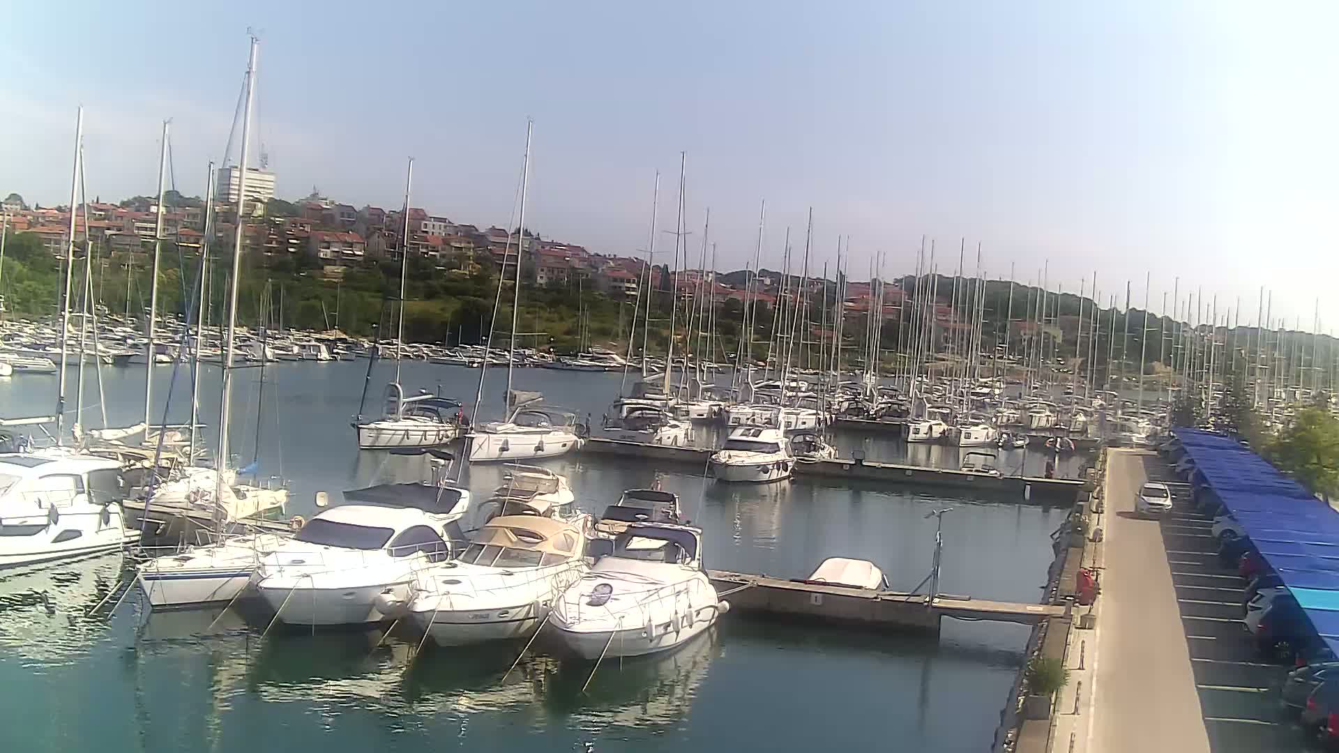 Numerous sailboats and motorboats are docked in a marina on a sunny day, with a residential area visible in the background.