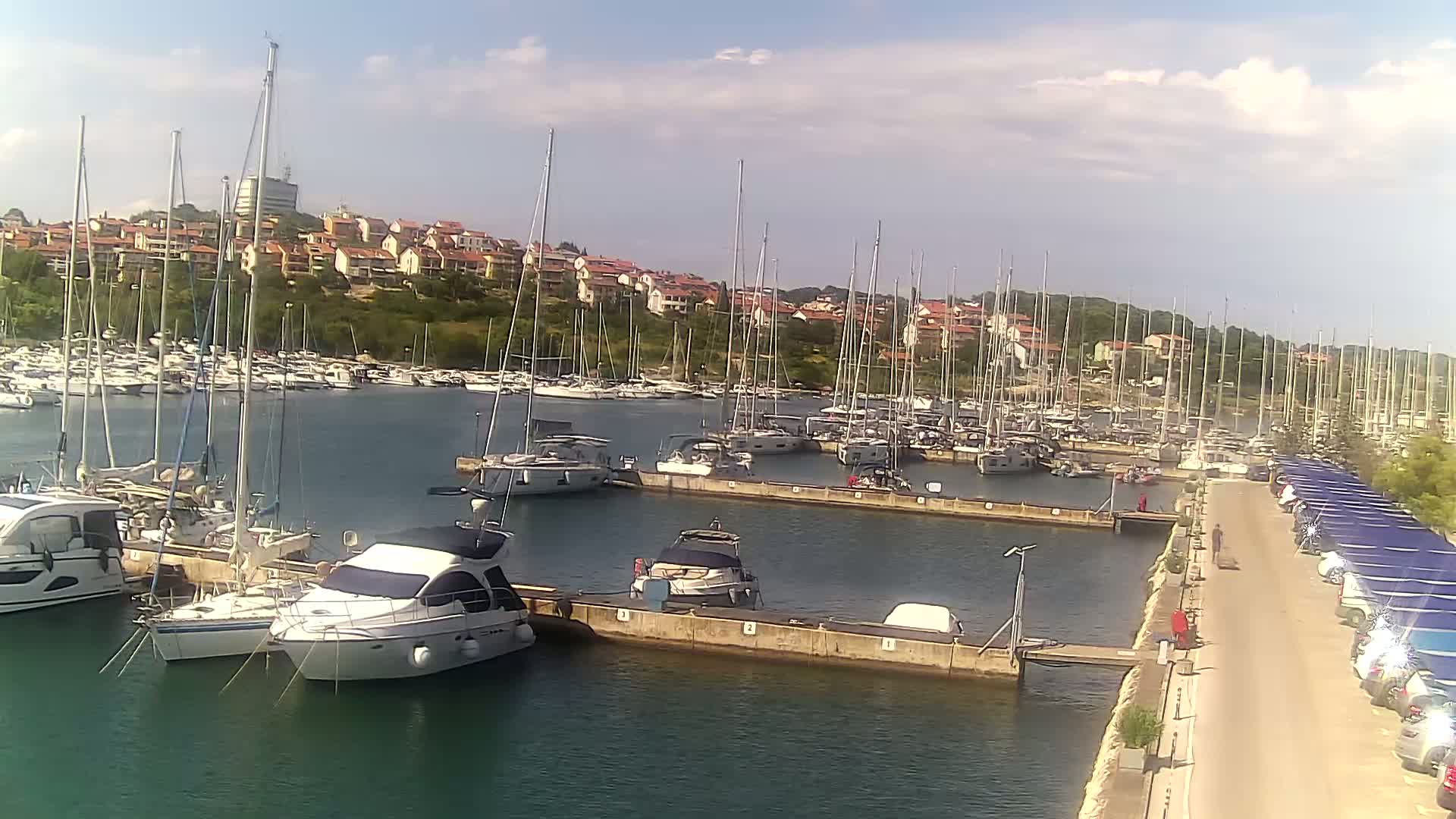 Numerous sailboats and motorboats are docked in a marina on a sunny day, with a residential area visible in the background.