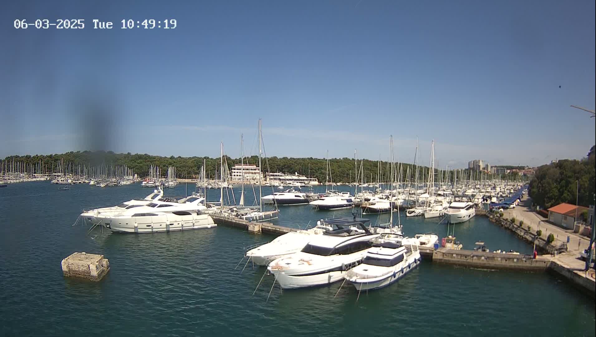 Under a clear blue sky, a marina filled with numerous yachts and sailboats is nestled along a tree-lined shoreline.