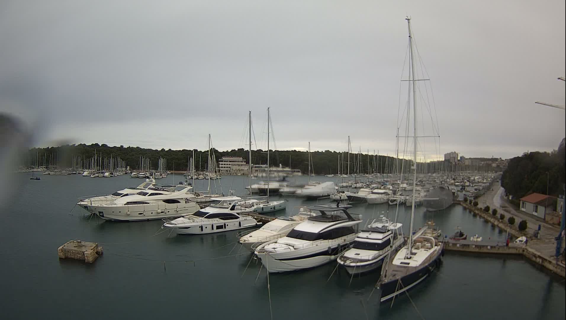 A marina filled with numerous yachts and sailboats is shown under a clear, sunny sky.