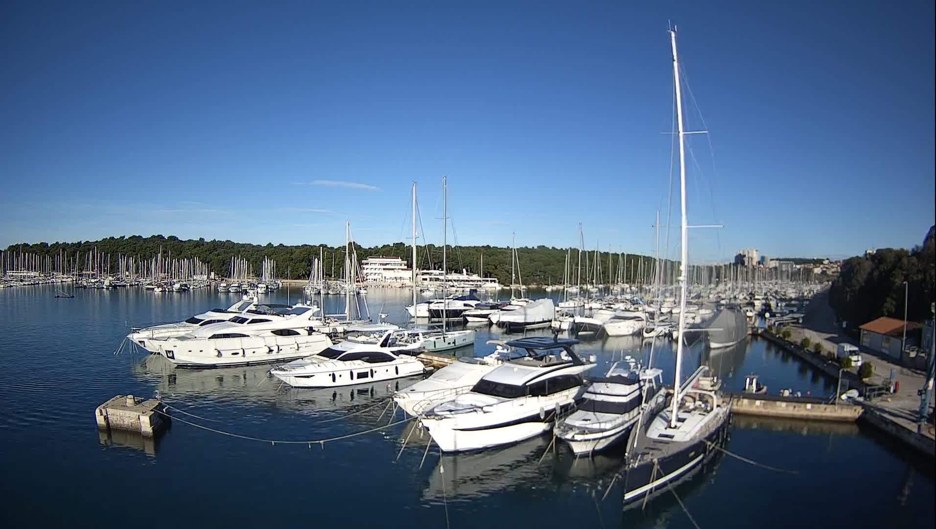 Numerous white boats and sailing yachts fill a bustling marina under a clear blue sky and bright sunshine, flanked by a green forested shoreline and distant buildings.