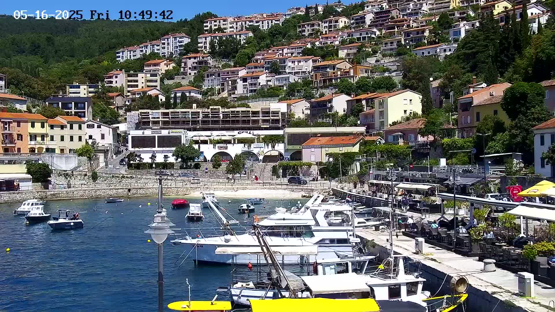 A harbor filled with boats is nestled below a hillside of closely packed buildings on a sunny day.