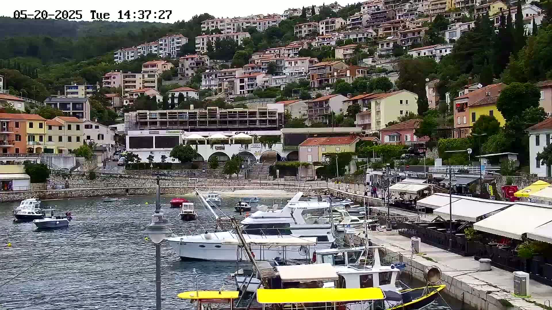 A harbor filled with boats is nestled below a hillside of closely packed buildings, under an overcast sky.