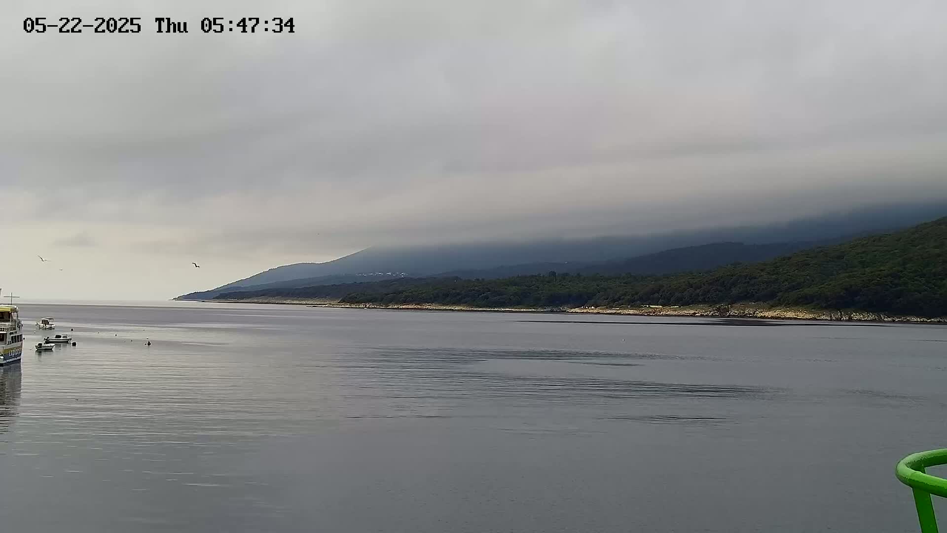 Several boats are moored in calm, grey water near a tree-covered shoreline under an overcast sky.