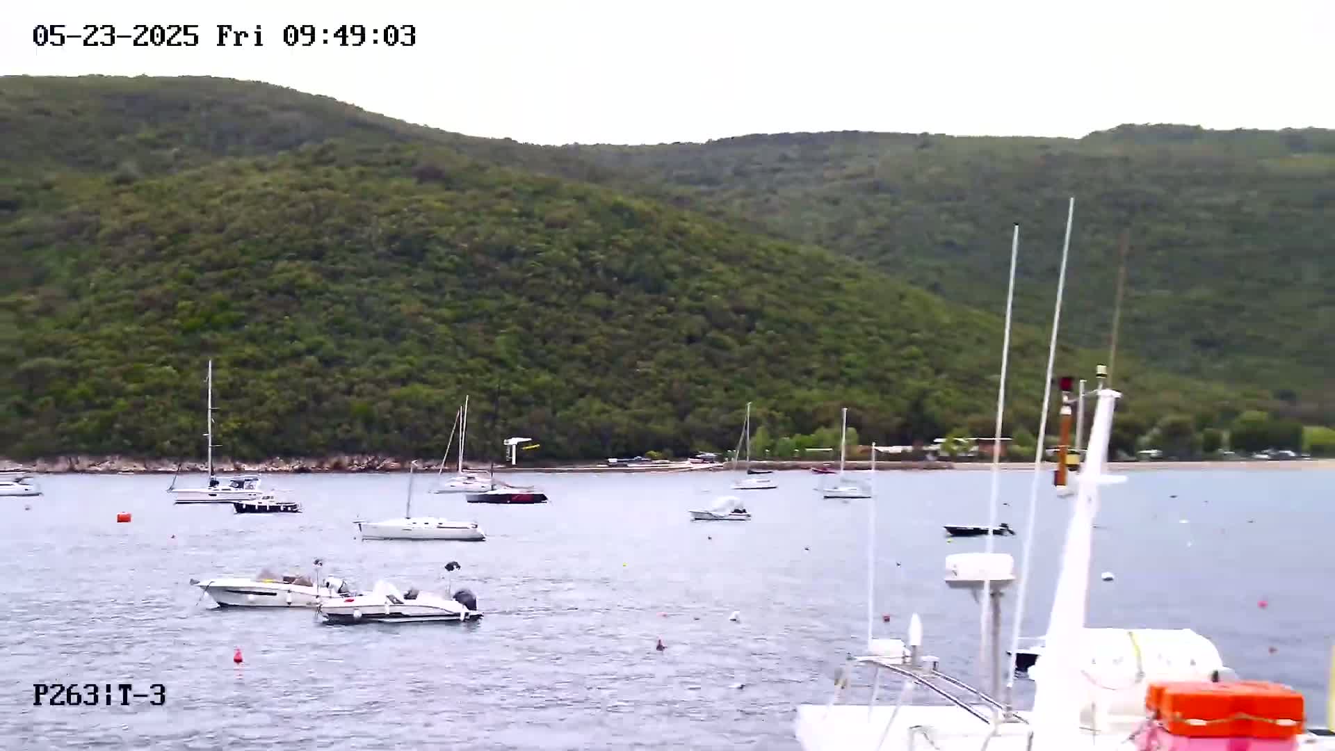 Several sailboats and motorboats are moored in a calm bay, with a lush green hillside visible in the background under an overcast sky.