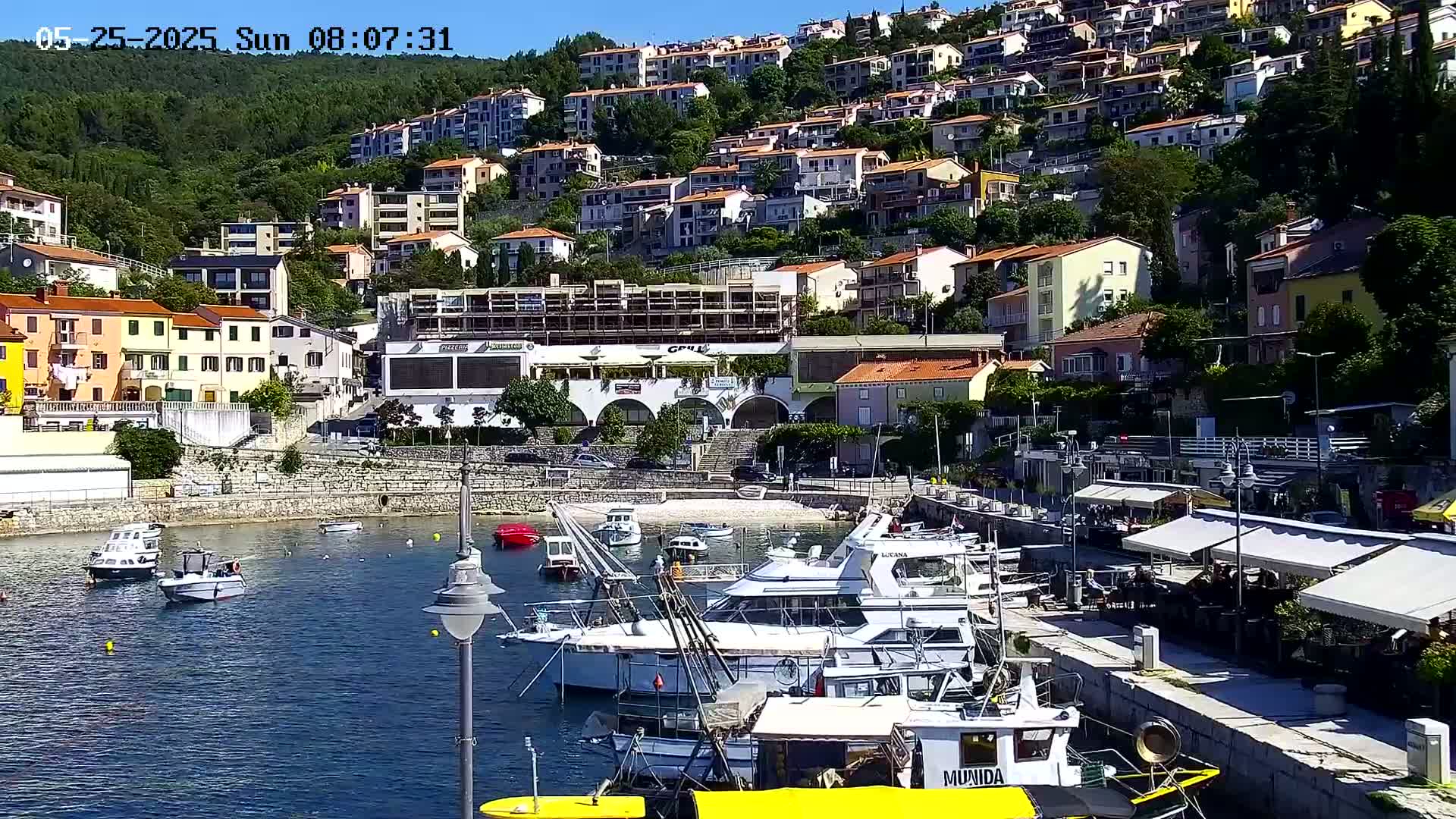 A sunny harbor scene shows numerous boats docked near a waterfront lined with buildings and restaurants, all nestled below a hillside covered in homes.