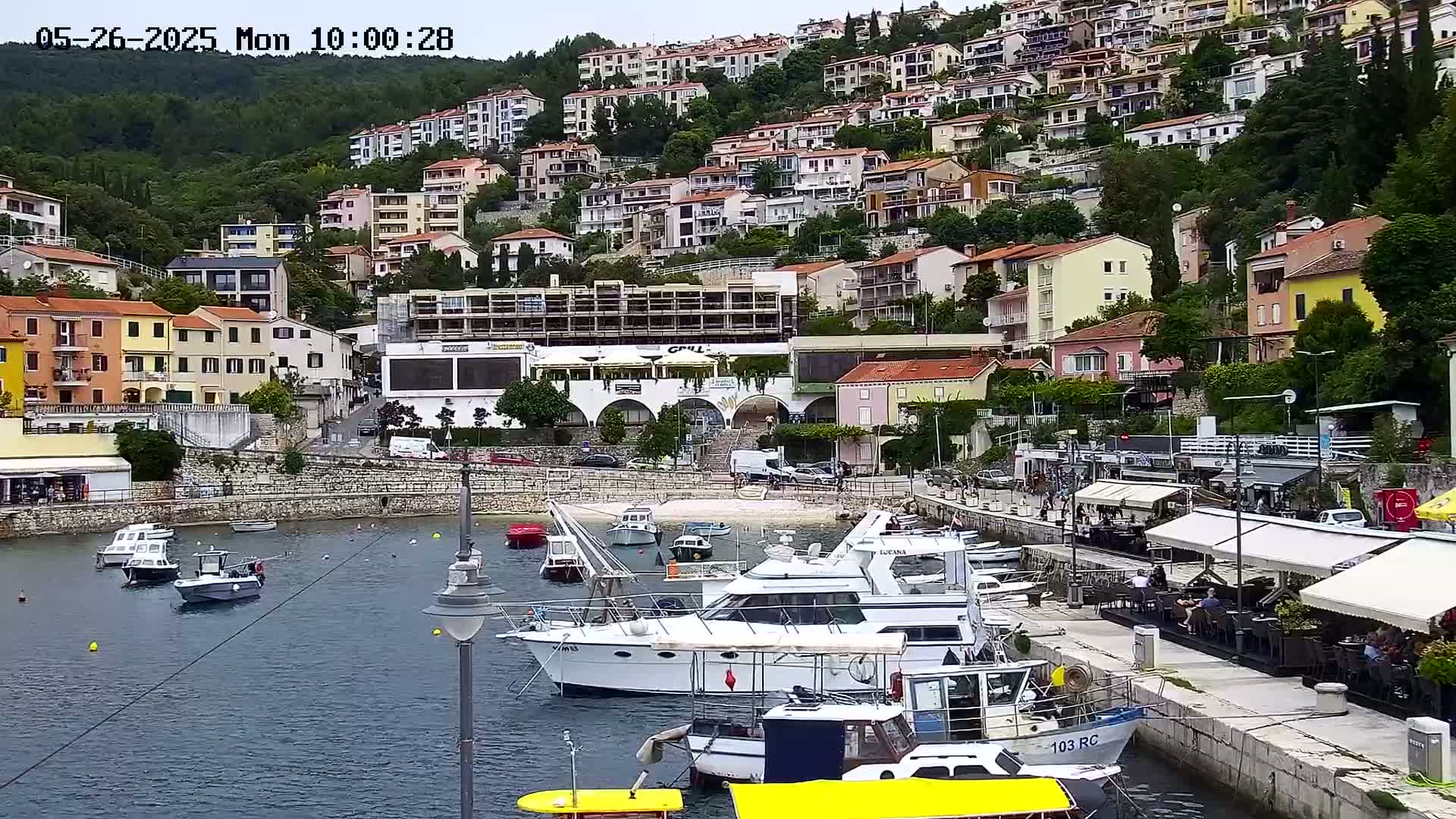 A harbor filled with boats is nestled below a hillside of colorful buildings under an overcast sky.