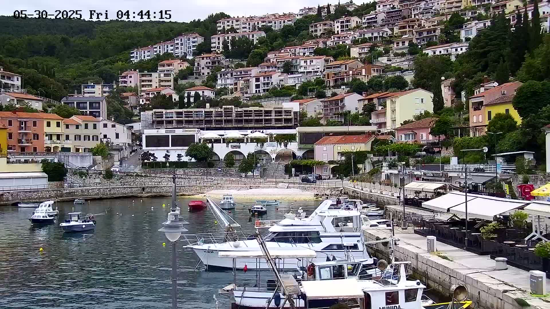 A harbor filled with boats is nestled below a hillside covered in closely packed buildings, under an overcast sky.