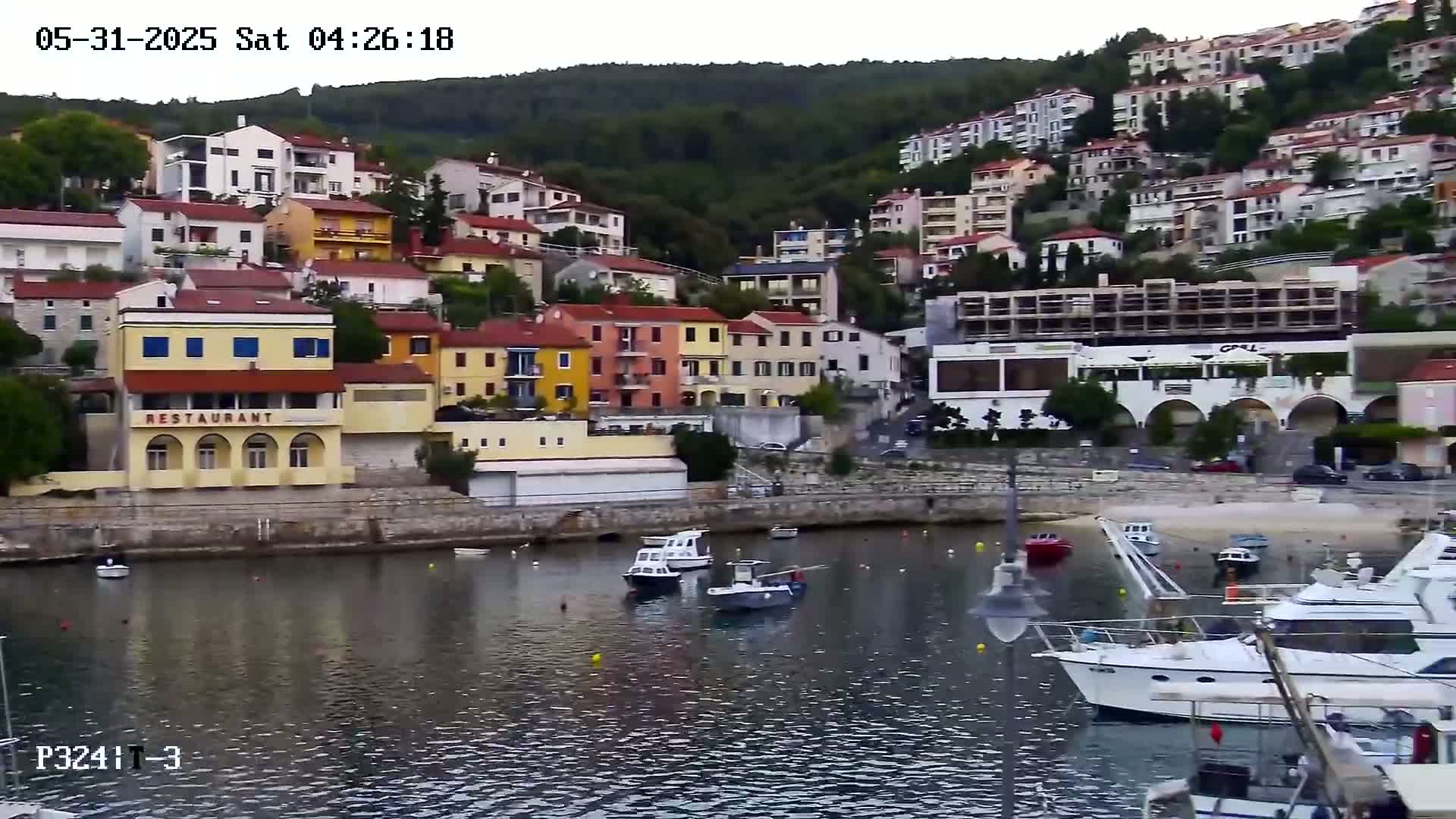A small harbor filled with boats is nestled below a hillside covered in colorful buildings, under an overcast sky.
