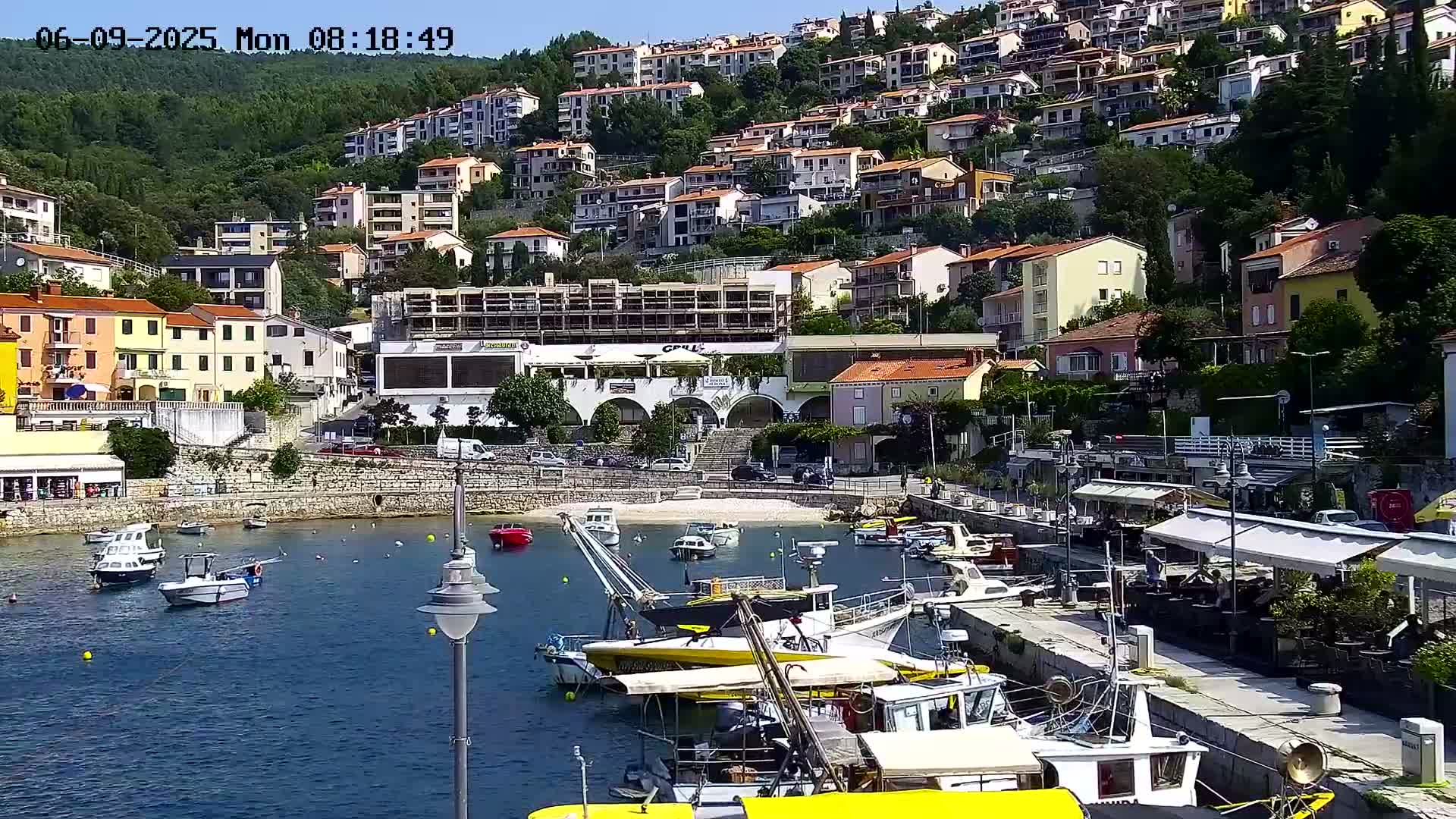 A harbor filled with boats is nestled below a hillside densely covered with buildings on a sunny day.