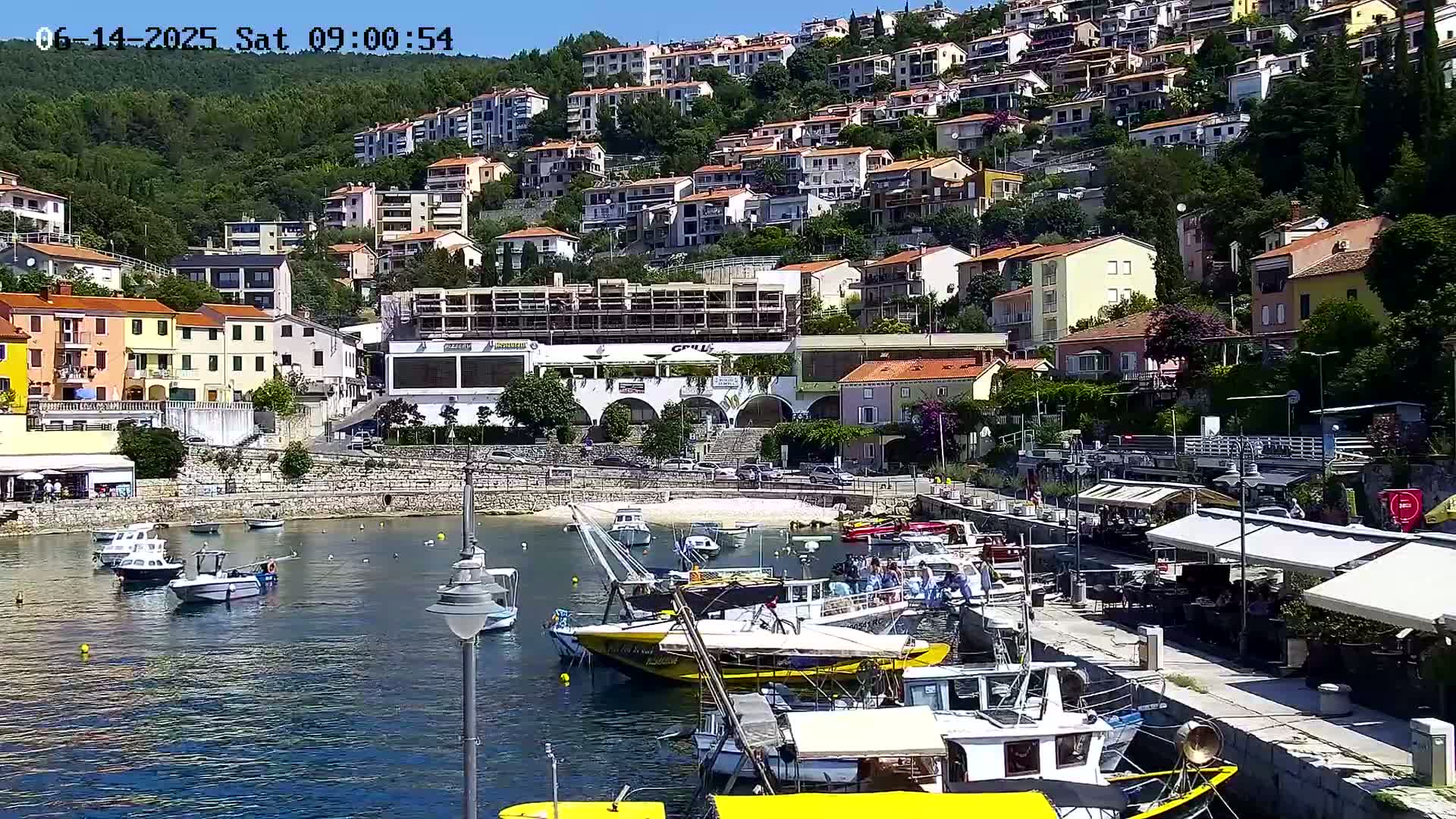 A harbor filled with boats is nestled below a hillside town of multi-story buildings on a sunny day.