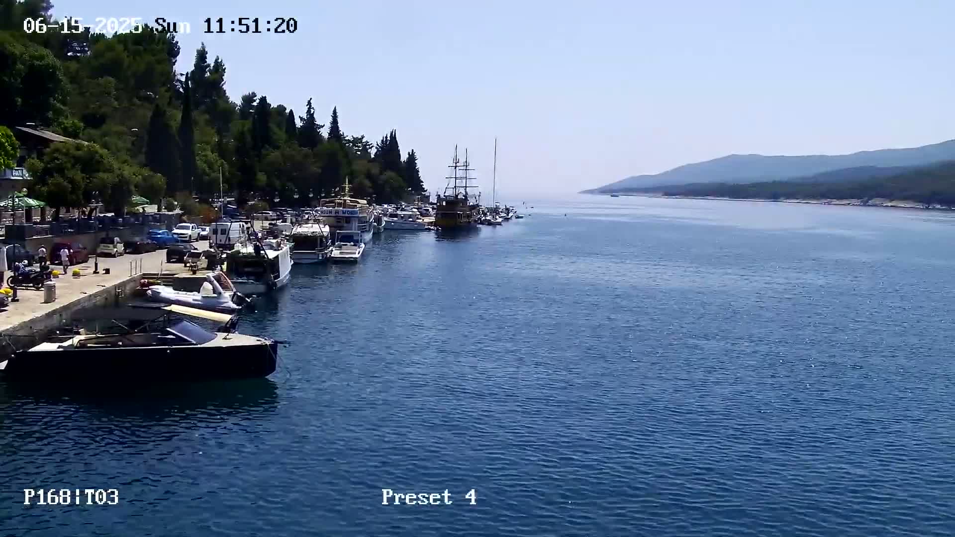 A calm, sunny day shows a harbor filled with various boats and ships, nestled between a shoreline of green trees and distant mountains.