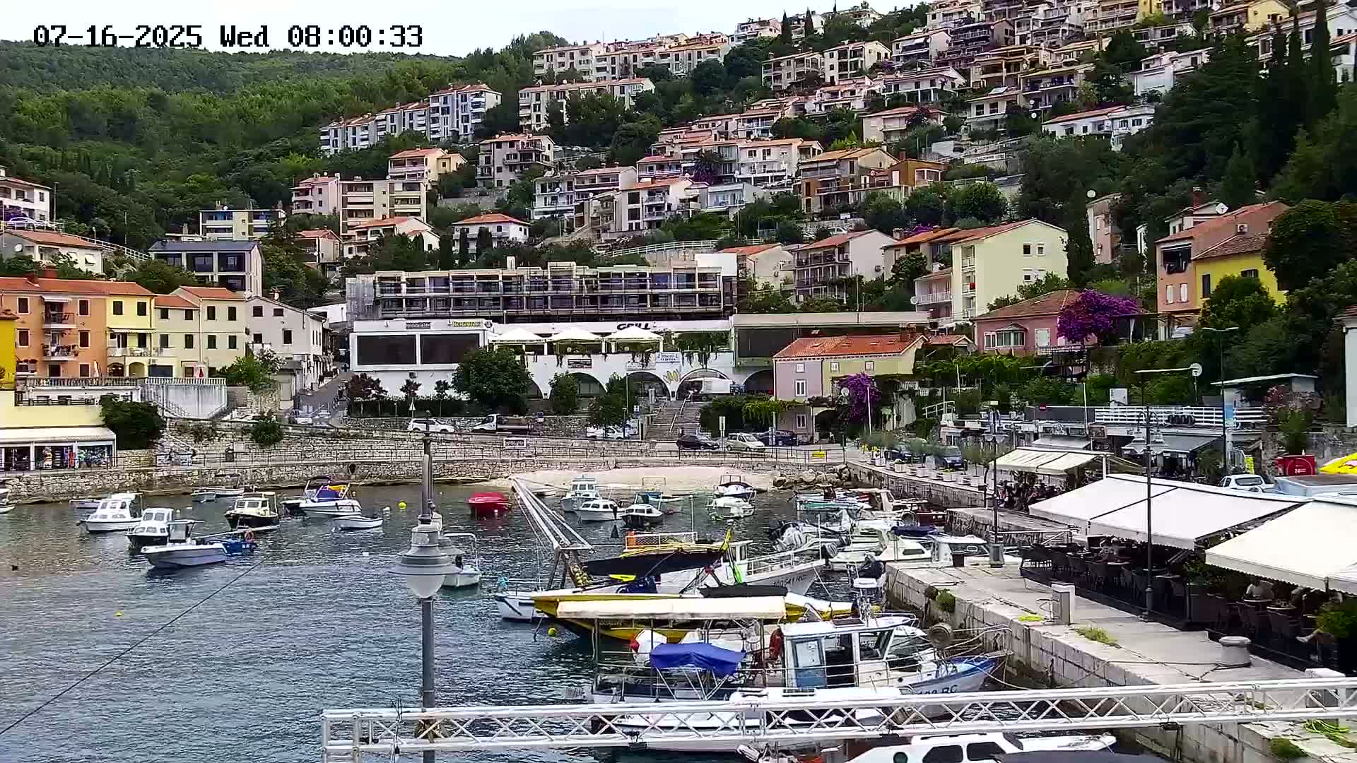 A harbor filled with boats is nestled below a hillside densely covered with buildings.