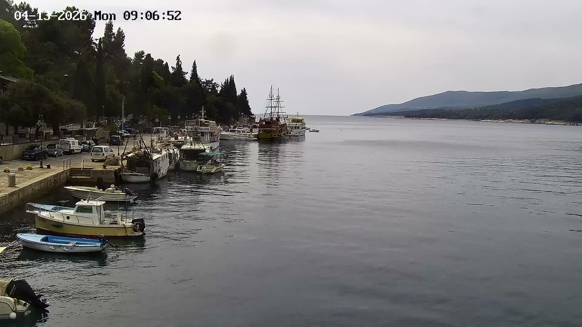 A picturesque coastal town with numerous multi-story buildings sprawling up a verdant hillside overlooks a calm bay filled with various boats, all under an overcast sky.