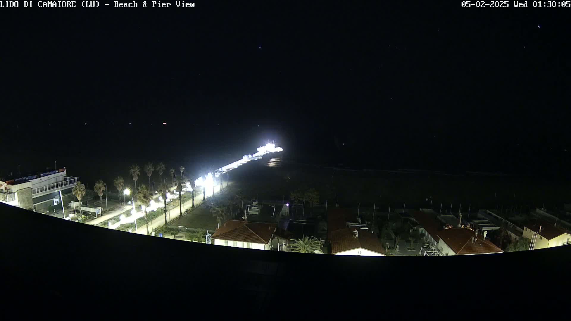 A nighttime, aerial view of a beach and pier, illuminated by lights, under a clear, starry sky.