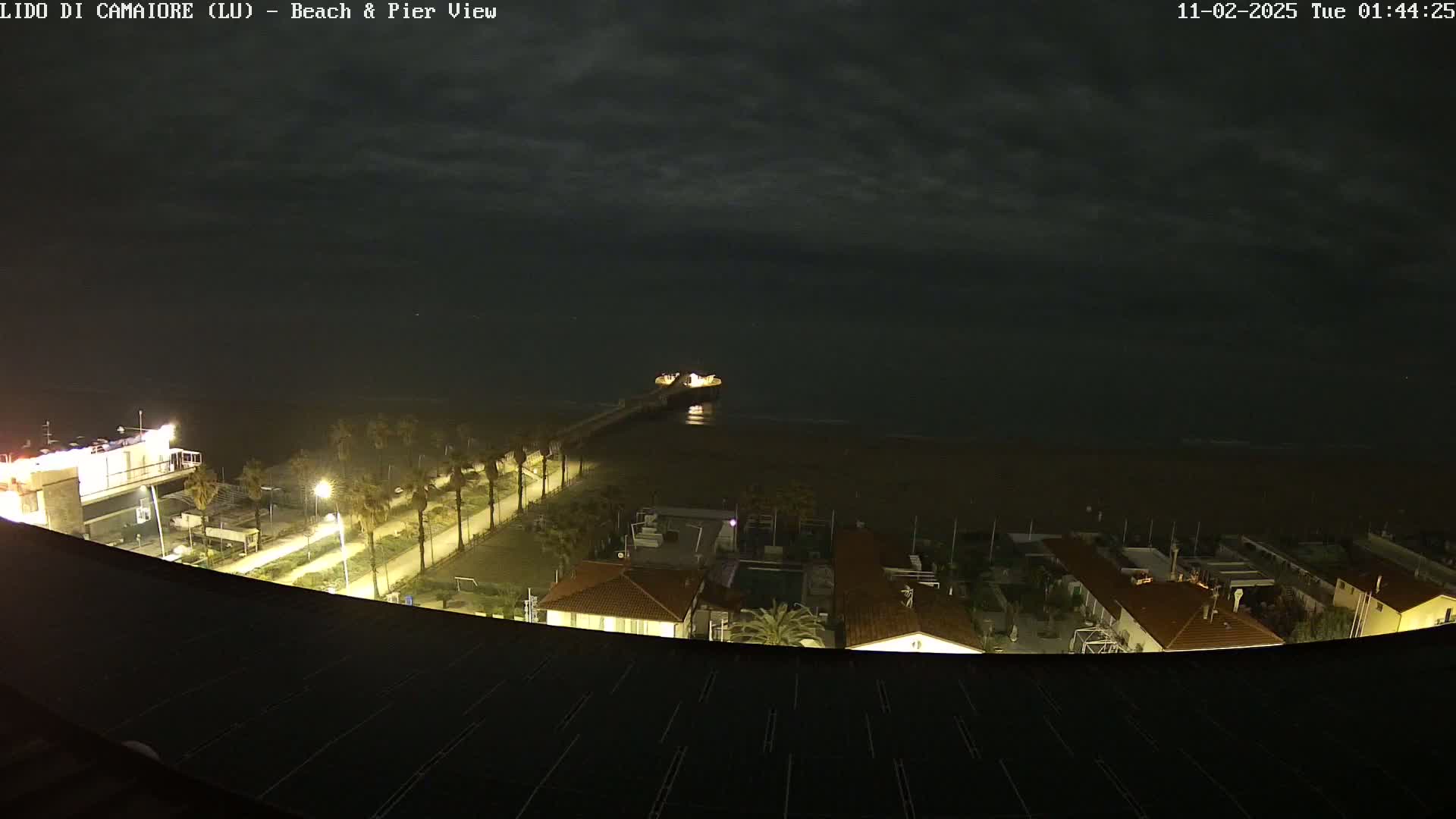 A nighttime, overcast view of a beach with a pier extending into the dark water, palm trees lining a paved path, and buildings visible along the shoreline.