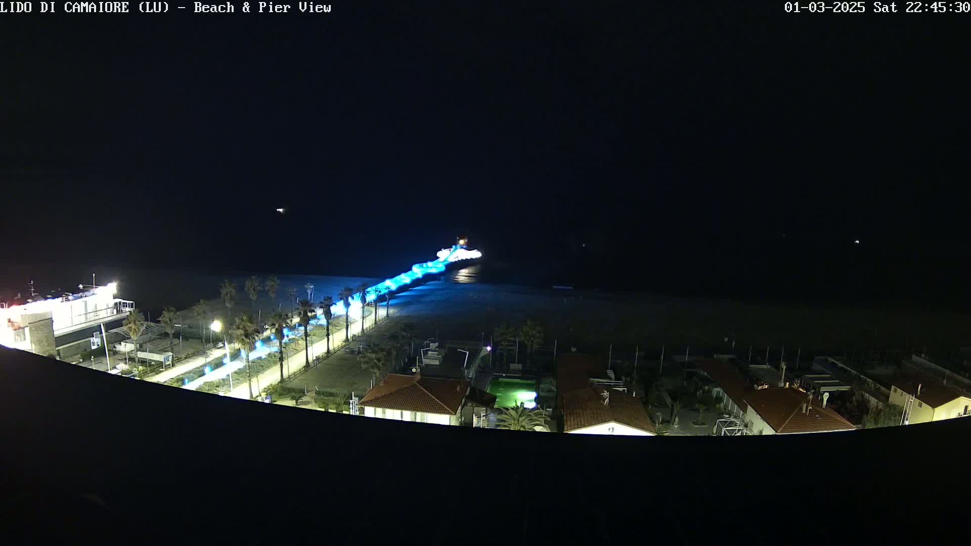 A nighttime aerial view shows a pier illuminated in blue light extending from a beach lined with palm trees toward a dark ocean under a clear, dark sky.