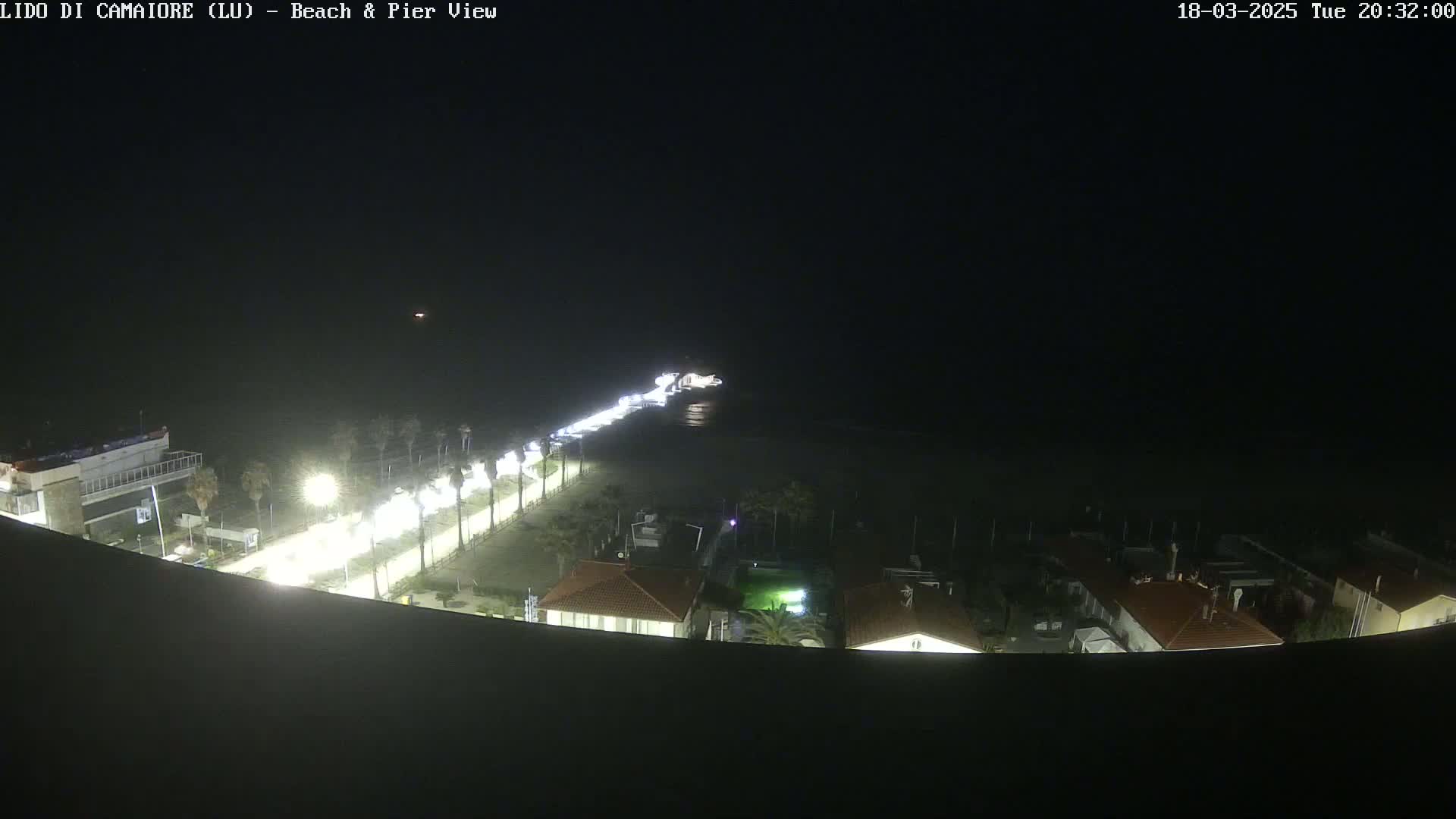 A nighttime, overhead view of a beach and pier, with a roadway lined with palm trees and buildings visible in the foreground.