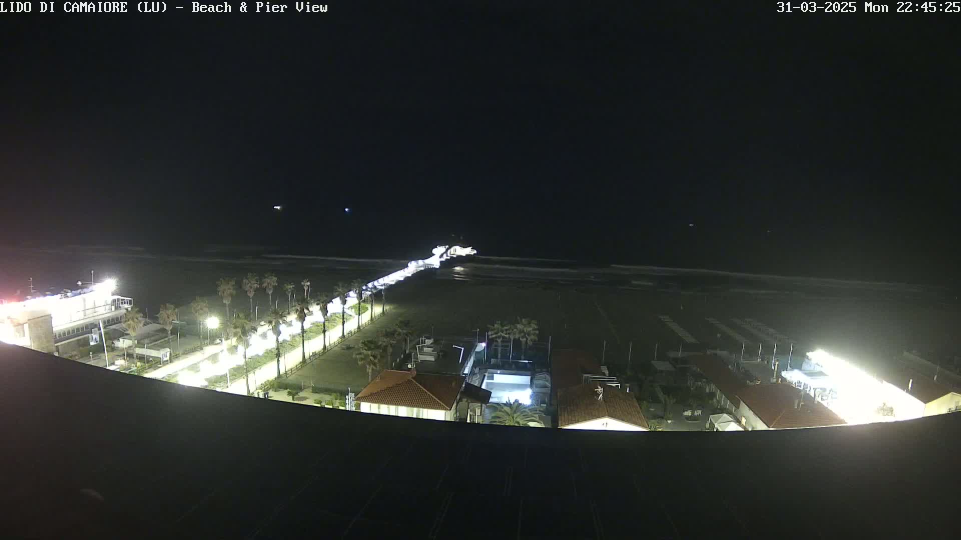 A nighttime, overhead view of a beach at low tide, with a pier extending into the dark ocean, palm trees lining a paved path leading to buildings with bright lights.
