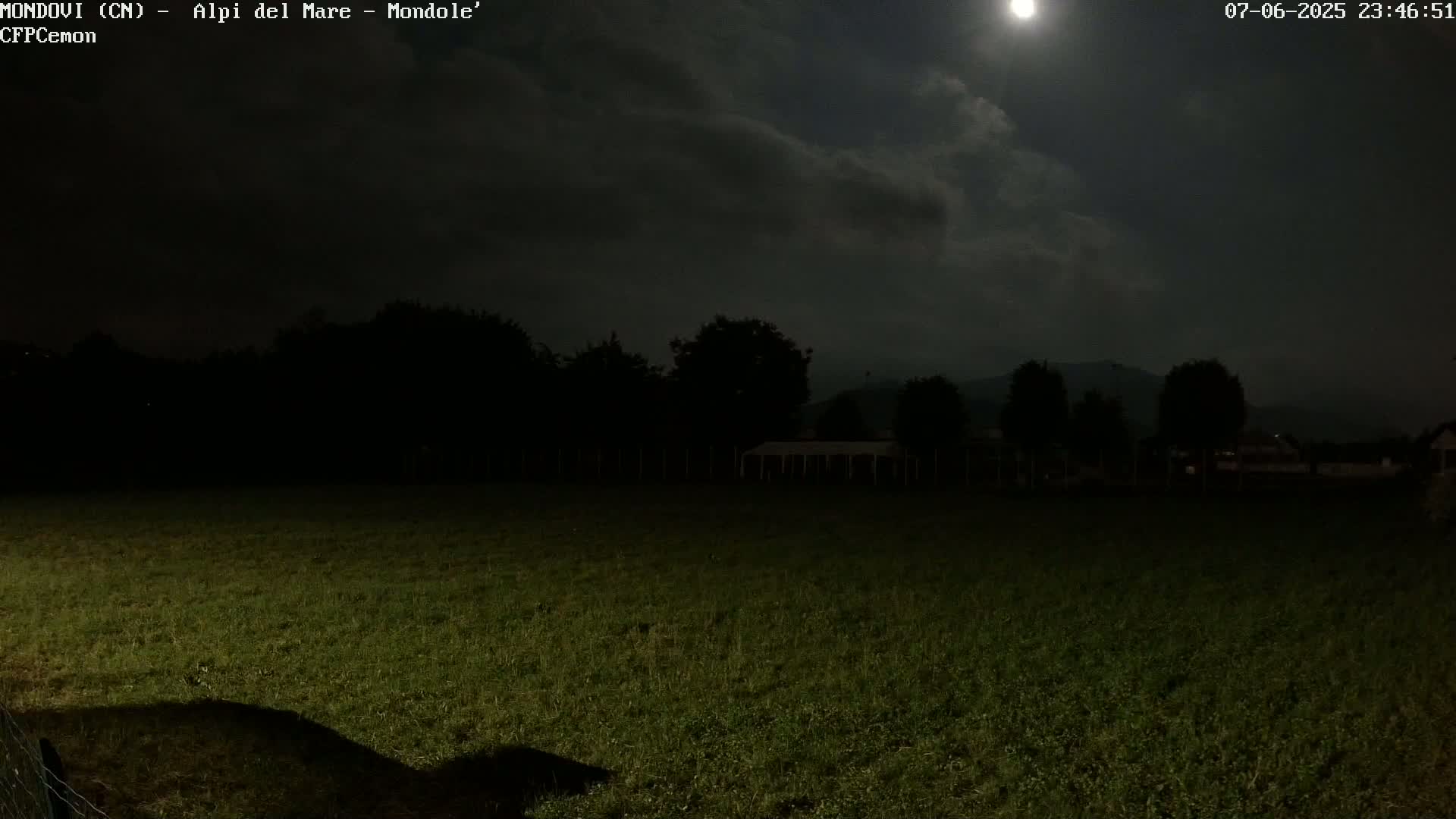 A moonlit night scene shows a grassy field under a partly cloudy sky, with dark silhouettes of trees and distant hills in the background.