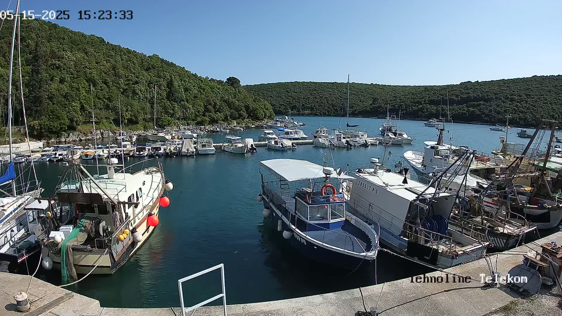 A harbor filled with numerous boats of varying sizes is nestled within a cove surrounded by lush green hills under a clear blue sky.