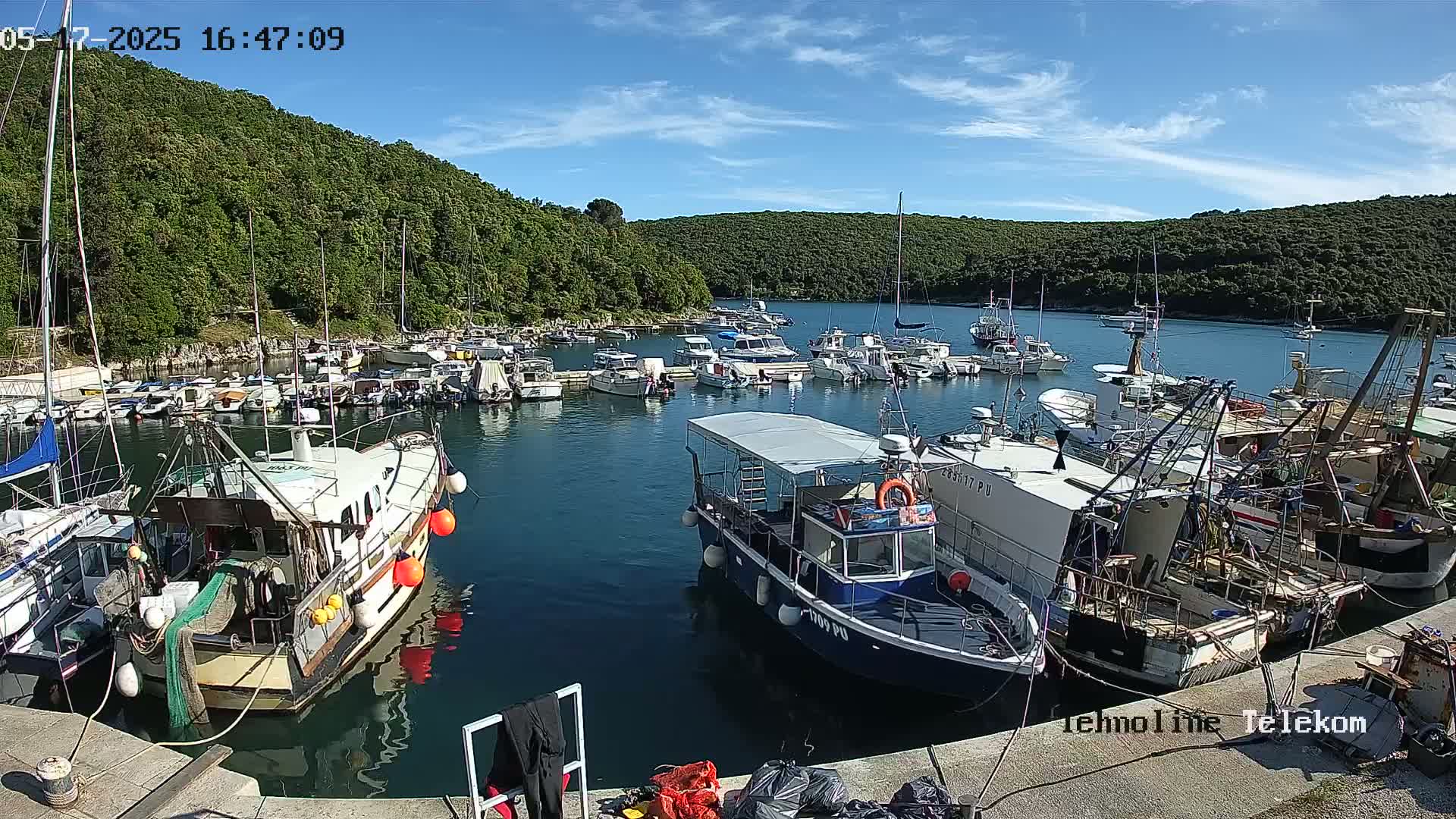 A harbor filled with numerous boats of various sizes, nestled against a verdant hillside under a bright, sunny sky.