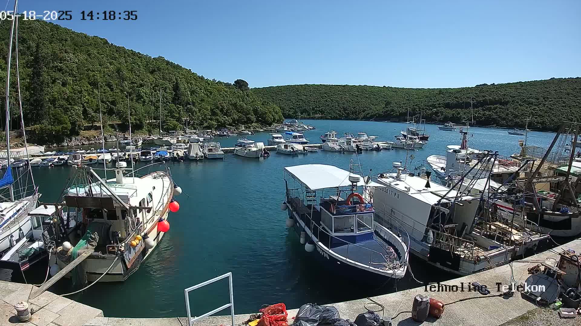 A sunny day at a harbor filled with numerous boats of varying sizes, nestled against a backdrop of lush green hills.
