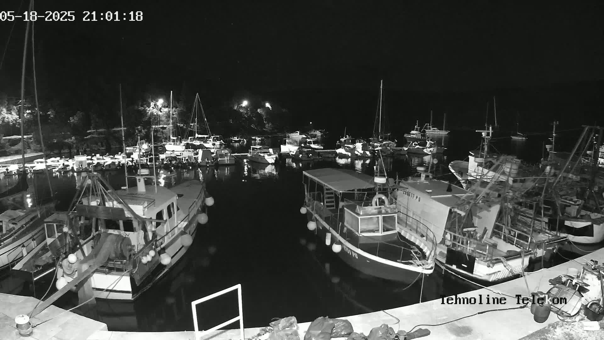 Many boats are docked at a marina at night under a clear, dark sky.