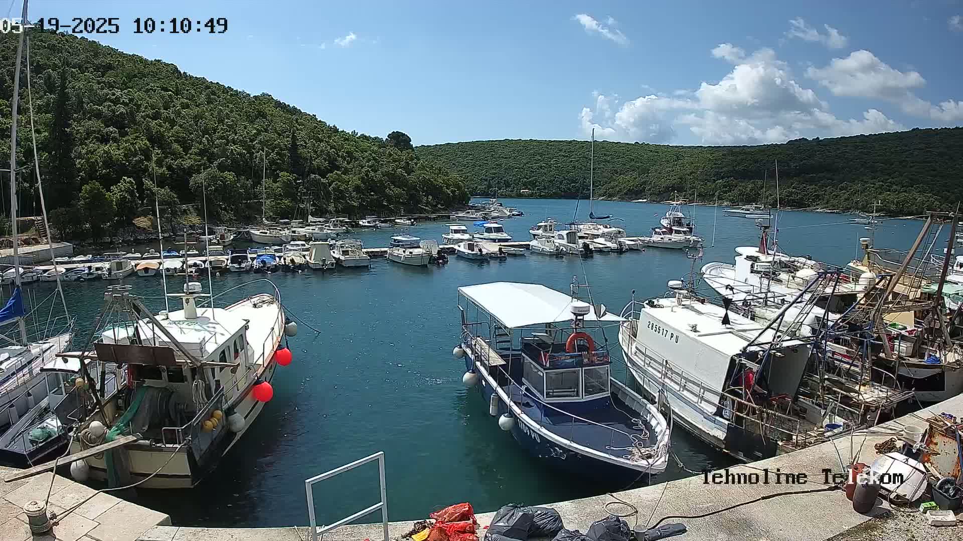 A calm, sunny day shows a harbor filled with numerous boats of various sizes, docked along a shoreline backed by lush green hills.