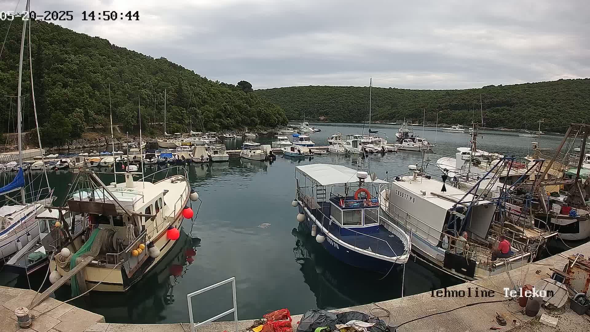 Many boats are docked in a calm harbor surrounded by lush green hills under an overcast sky.