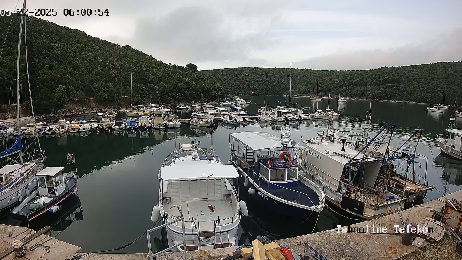 Numerous boats are docked in a calm harbor, nestled against a verdant hillside under an overcast sky.