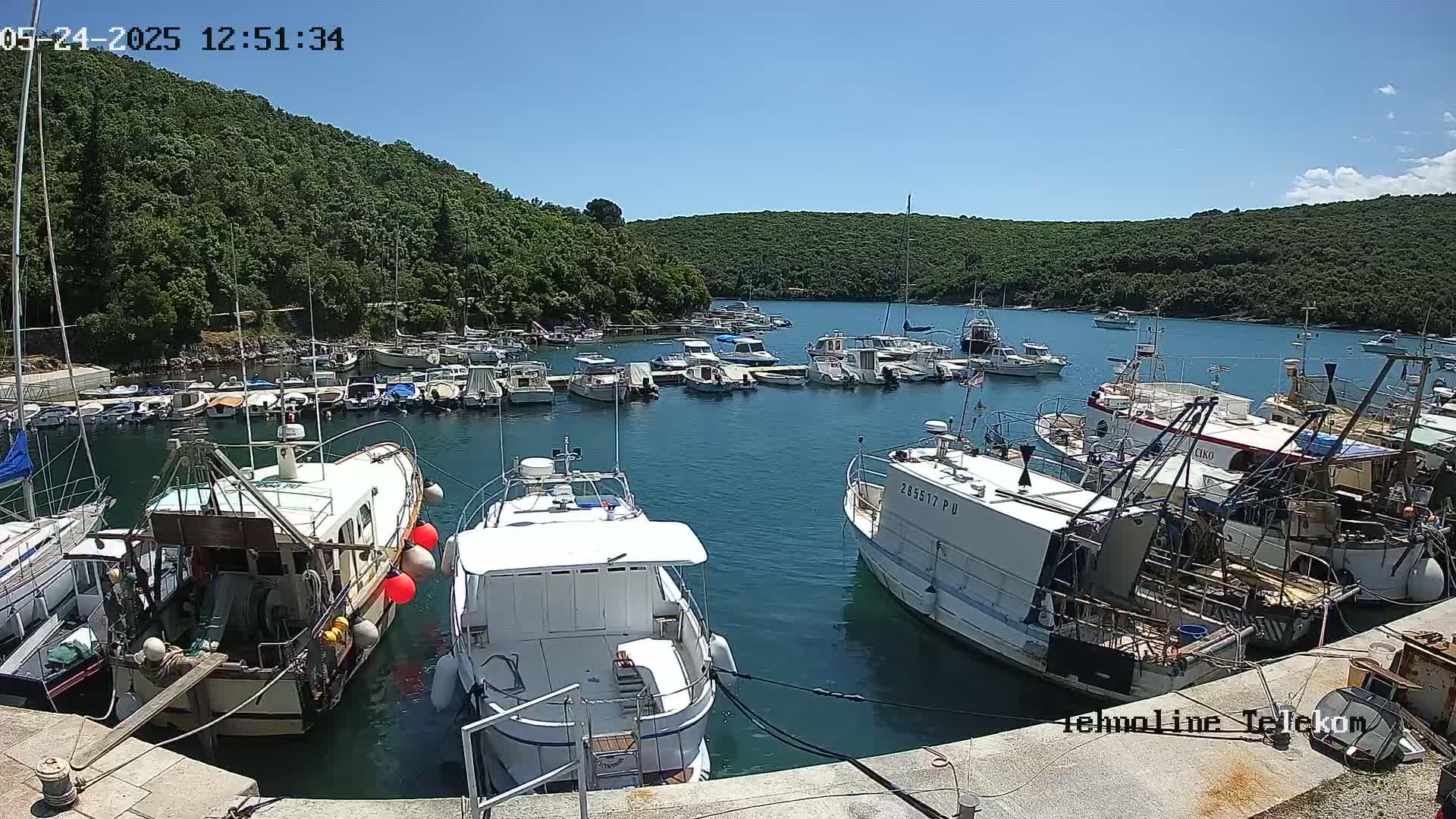 A sunny day shows a harbor filled with numerous boats and yachts, nestled beside a lush, green hillside.