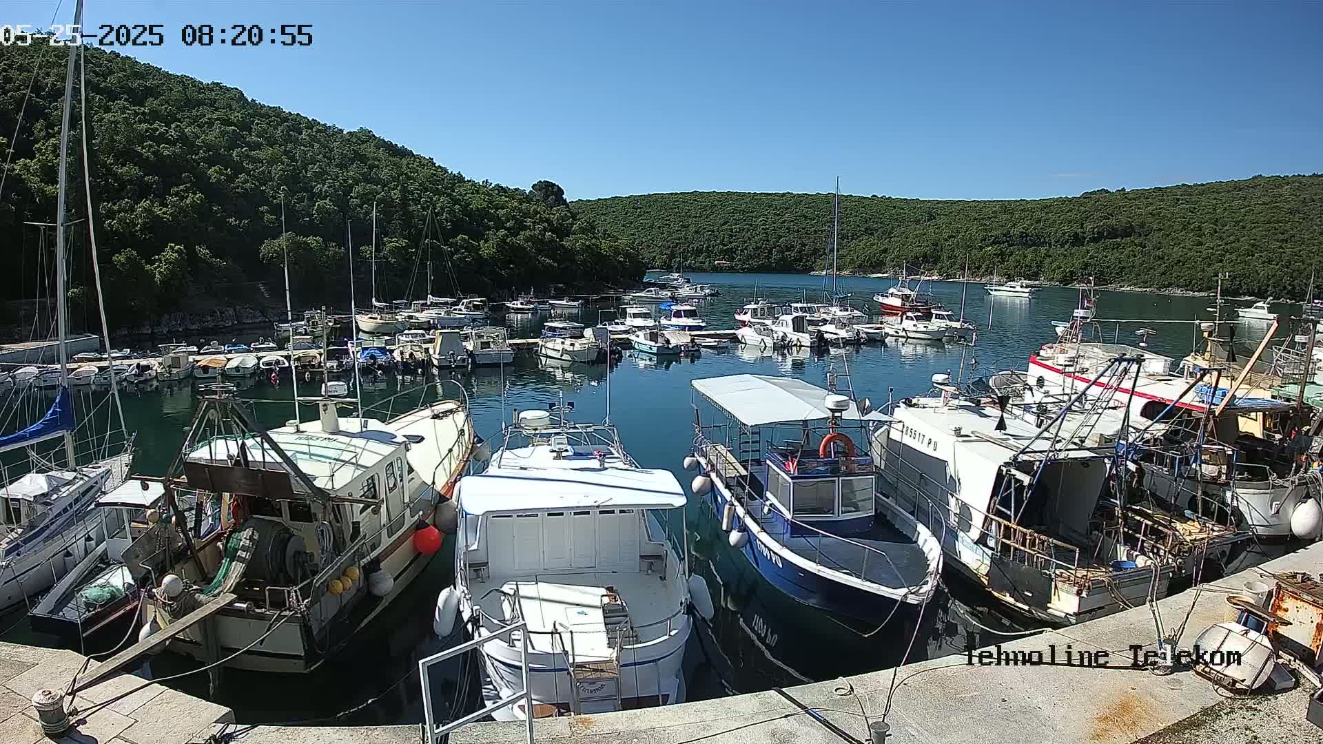 A marina filled with numerous boats of various sizes is nestled in a calm bay under a clear blue sky.