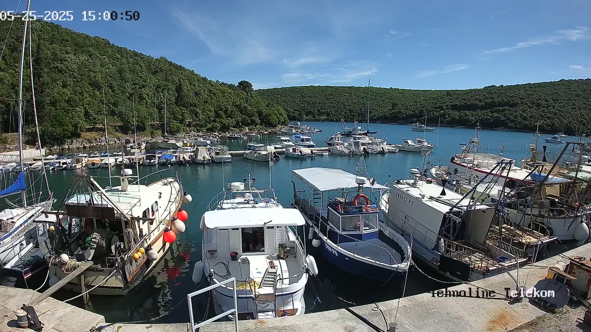 A sunny day at a marina shows numerous boats docked, with a backdrop of lush green hills.