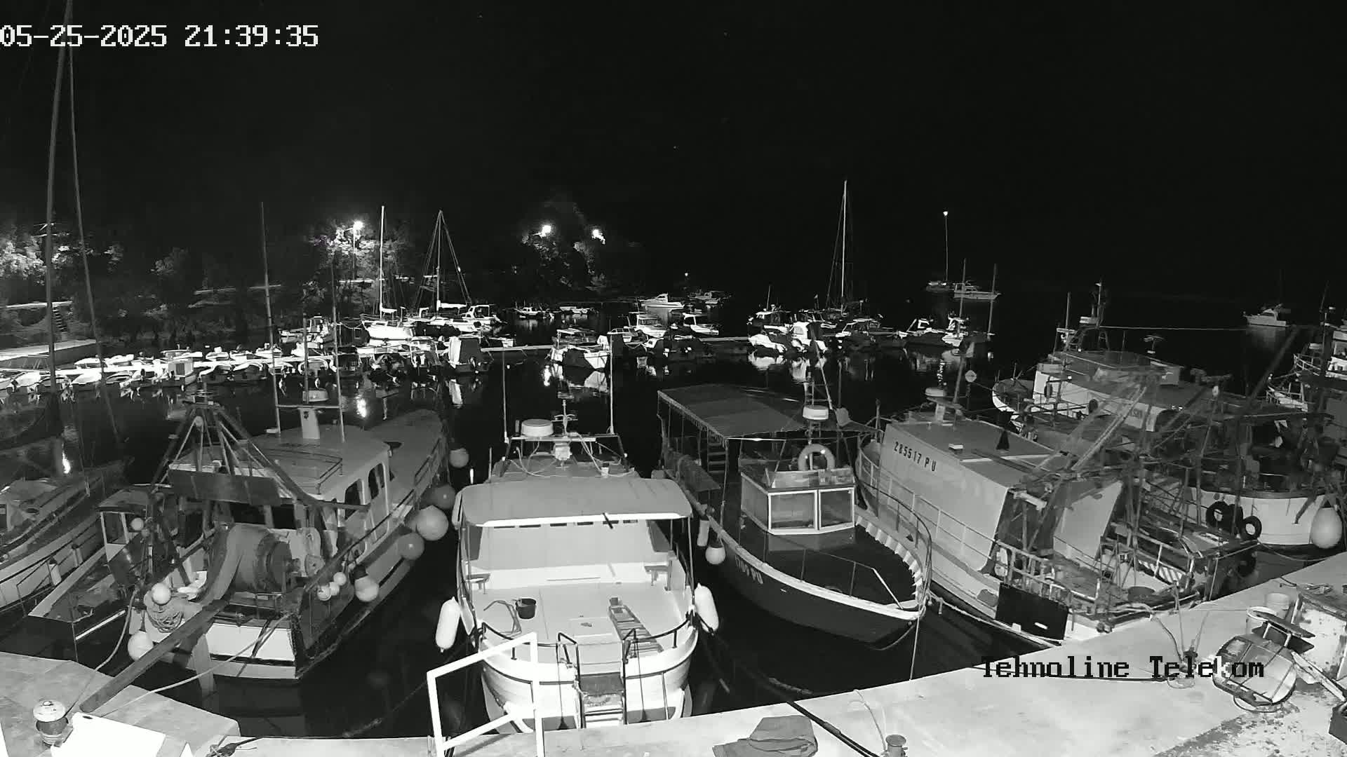 A nighttime, black-and-white view of numerous boats docked at a marina under a clear, dark sky.