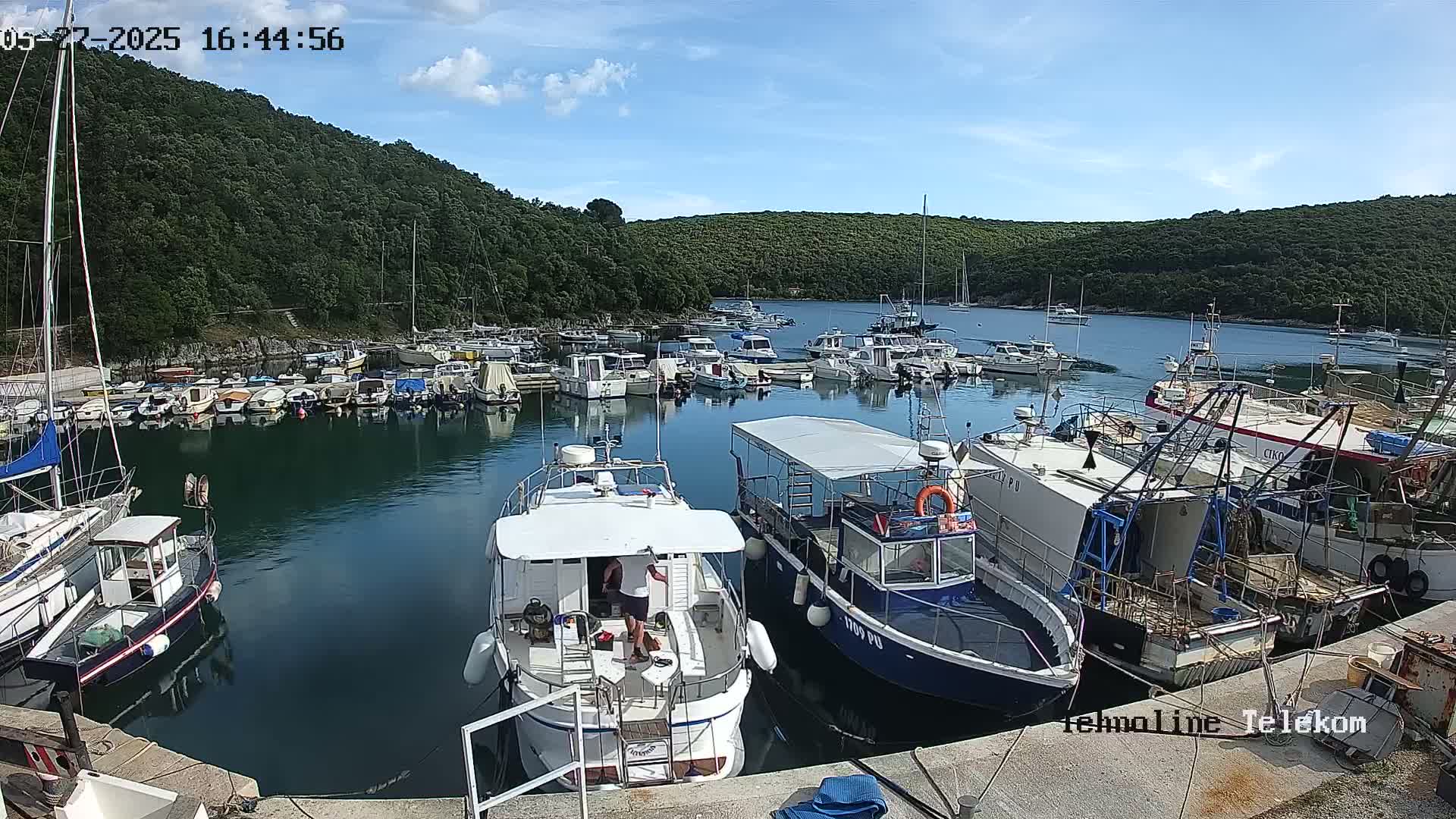 A sunny day at a marina filled with numerous boats of varying sizes, nestled in a cove surrounded by lush green hills.
