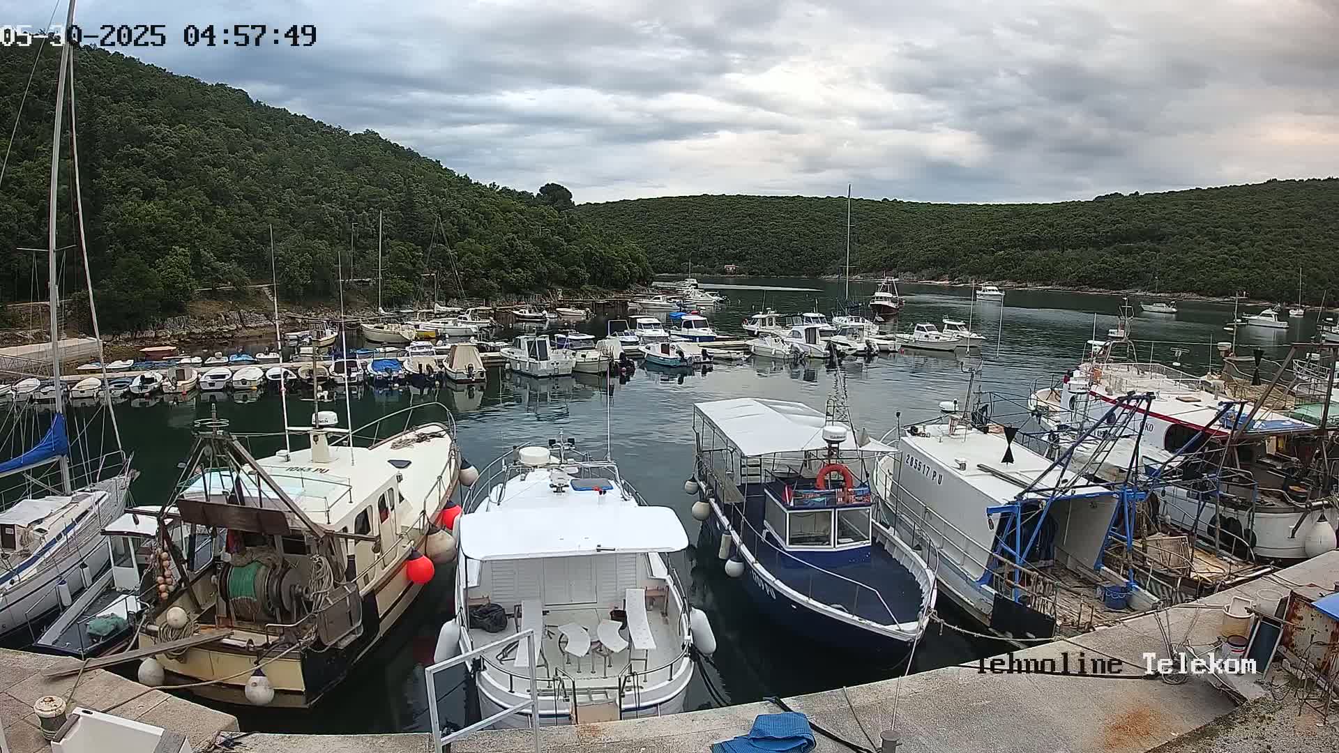 Numerous boats are docked in a calm harbor, surrounded by lush green hills under a cloudy sky.