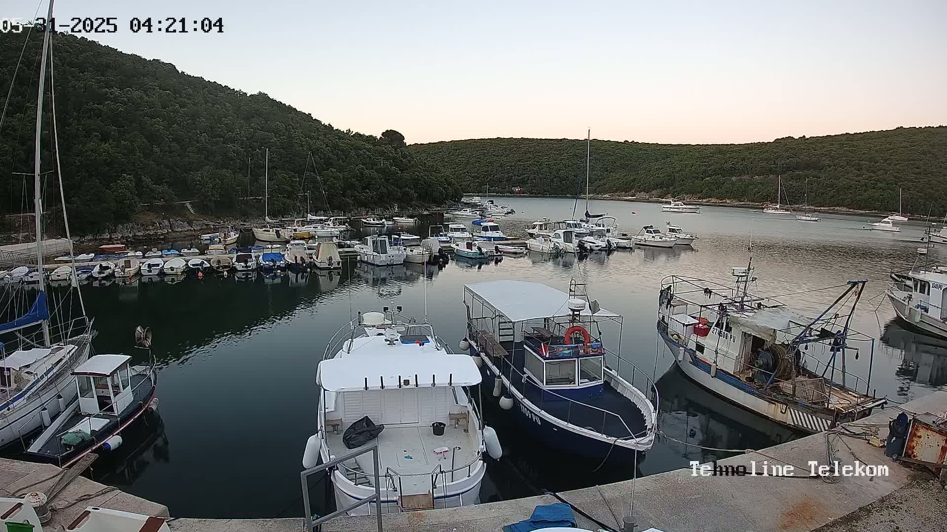Many boats are docked in a calm harbor surrounded by lush green hills under a twilight sky.