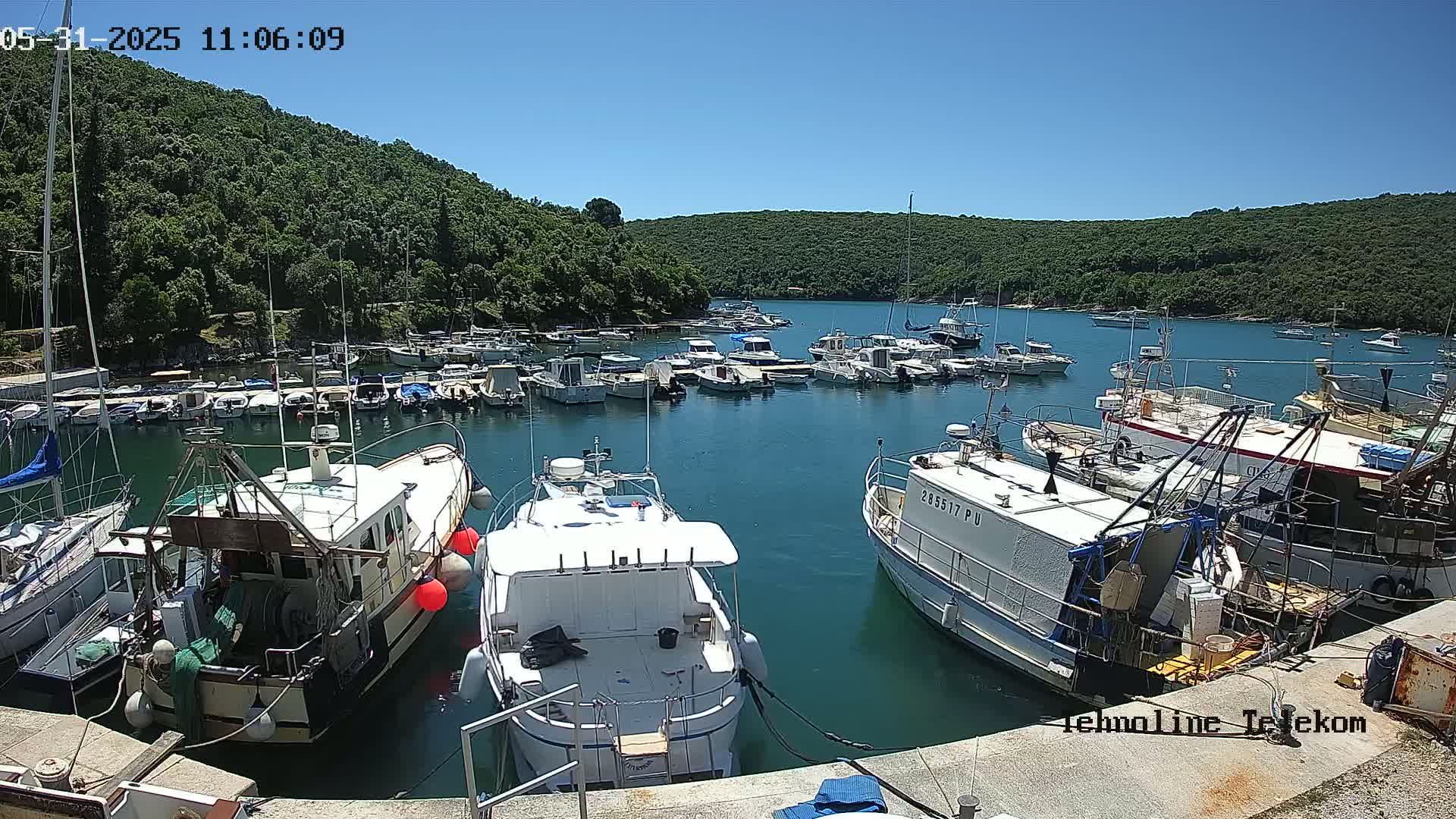 A harbor filled with numerous boats and yachts is nestled in a cove surrounded by lush green hills under a clear blue sky.