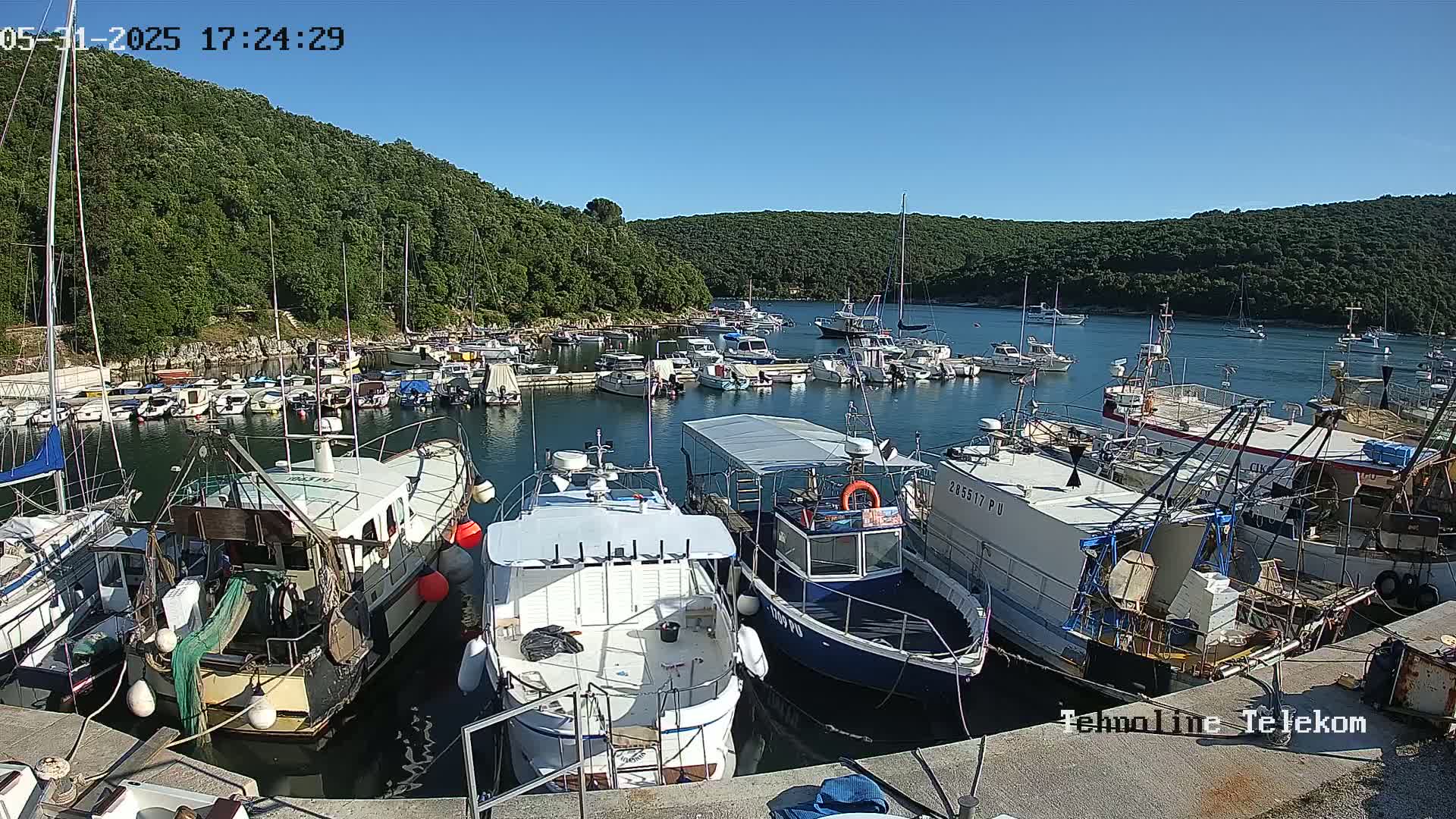 Numerous boats are docked in a calm harbor surrounded by lush green hills under a clear blue sky.