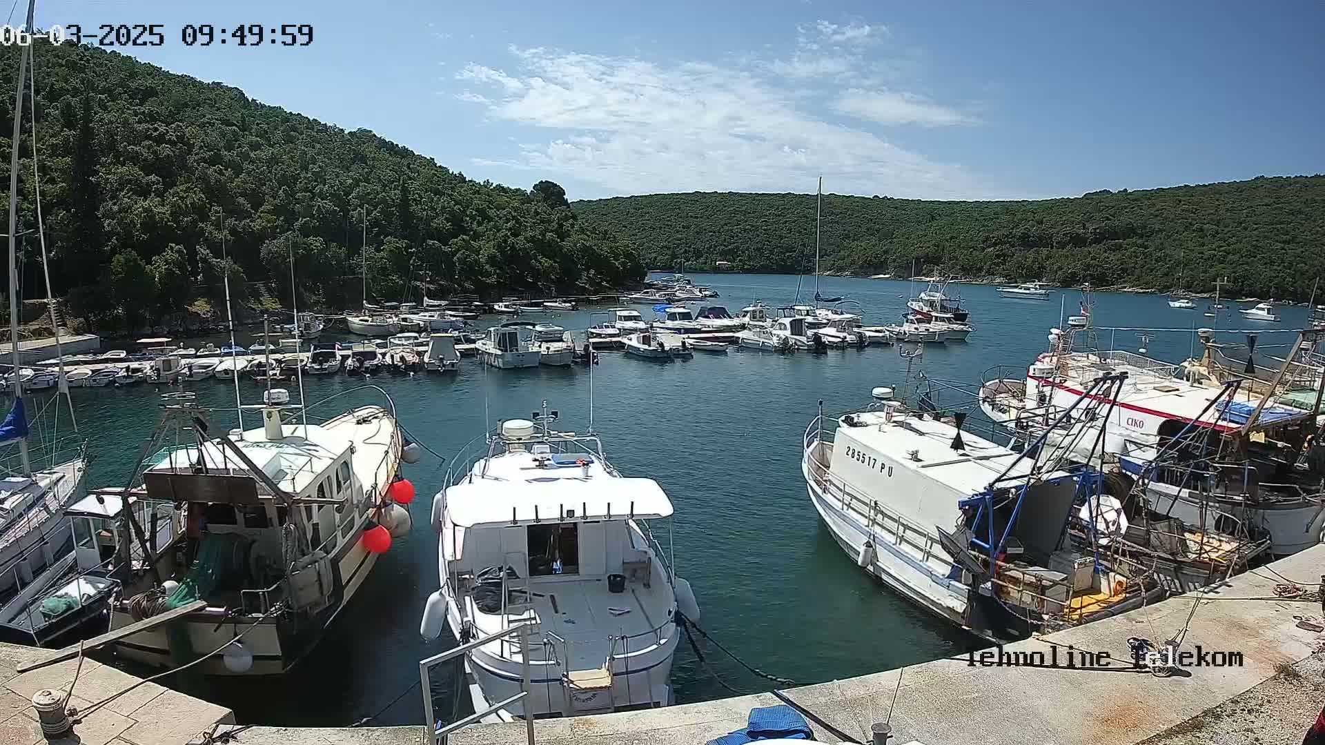A sunny day at a harbor filled with numerous boats, some docked and others moored, nestled in a cove surrounded by lush green hills.