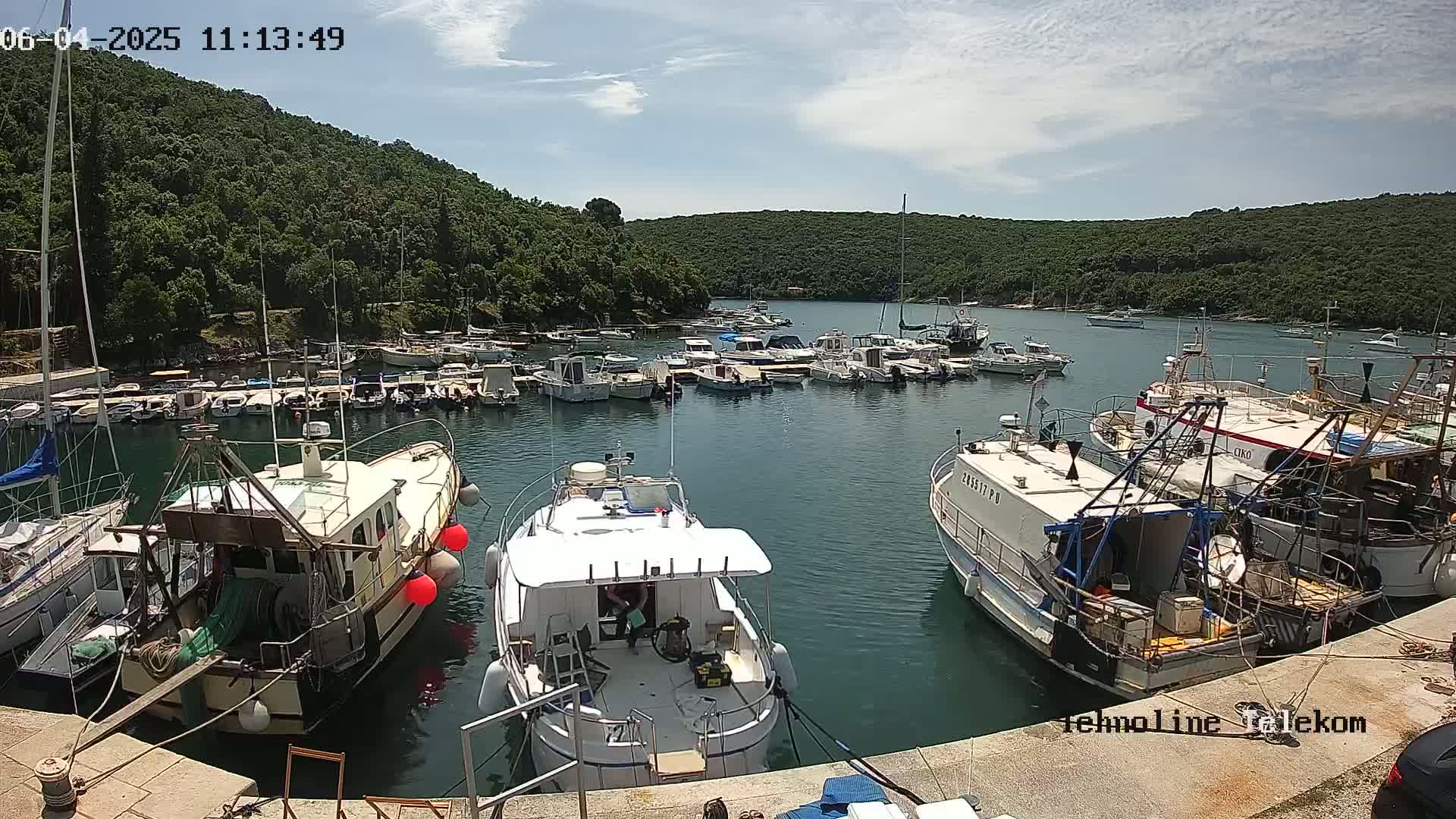 A sunny day shows a calm harbor filled with numerous boats and yachts, nestled against a lush, green hillside.