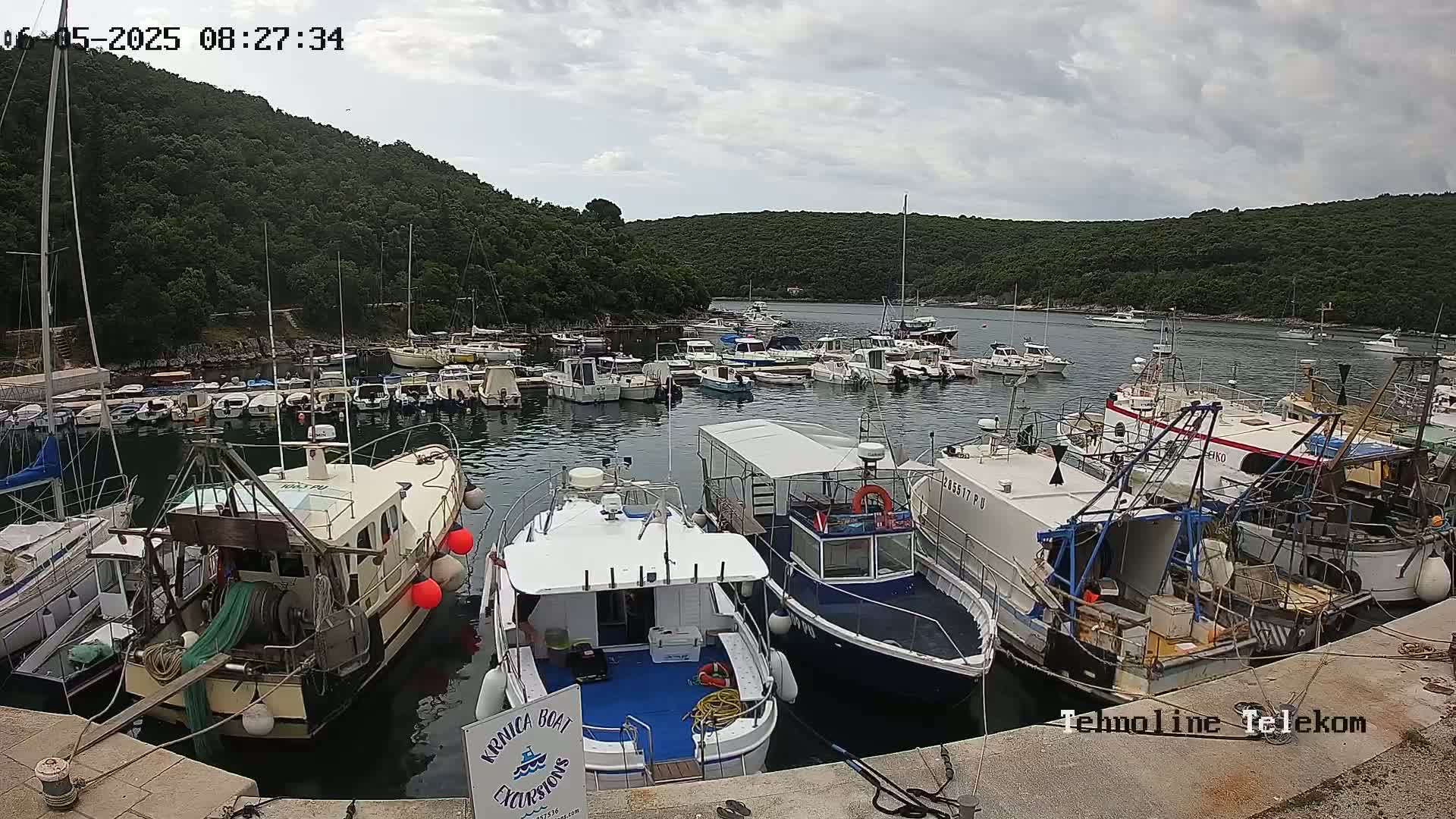 A harbor filled with numerous boats of varying sizes under a partly cloudy sky, surrounded by lush green hills.