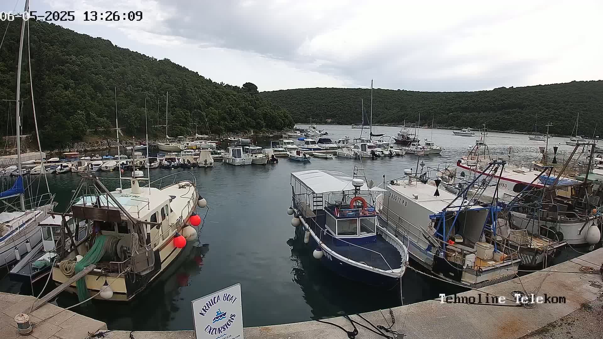 A calm bay filled with numerous boats of varying sizes, surrounded by lush green hills under an overcast sky.