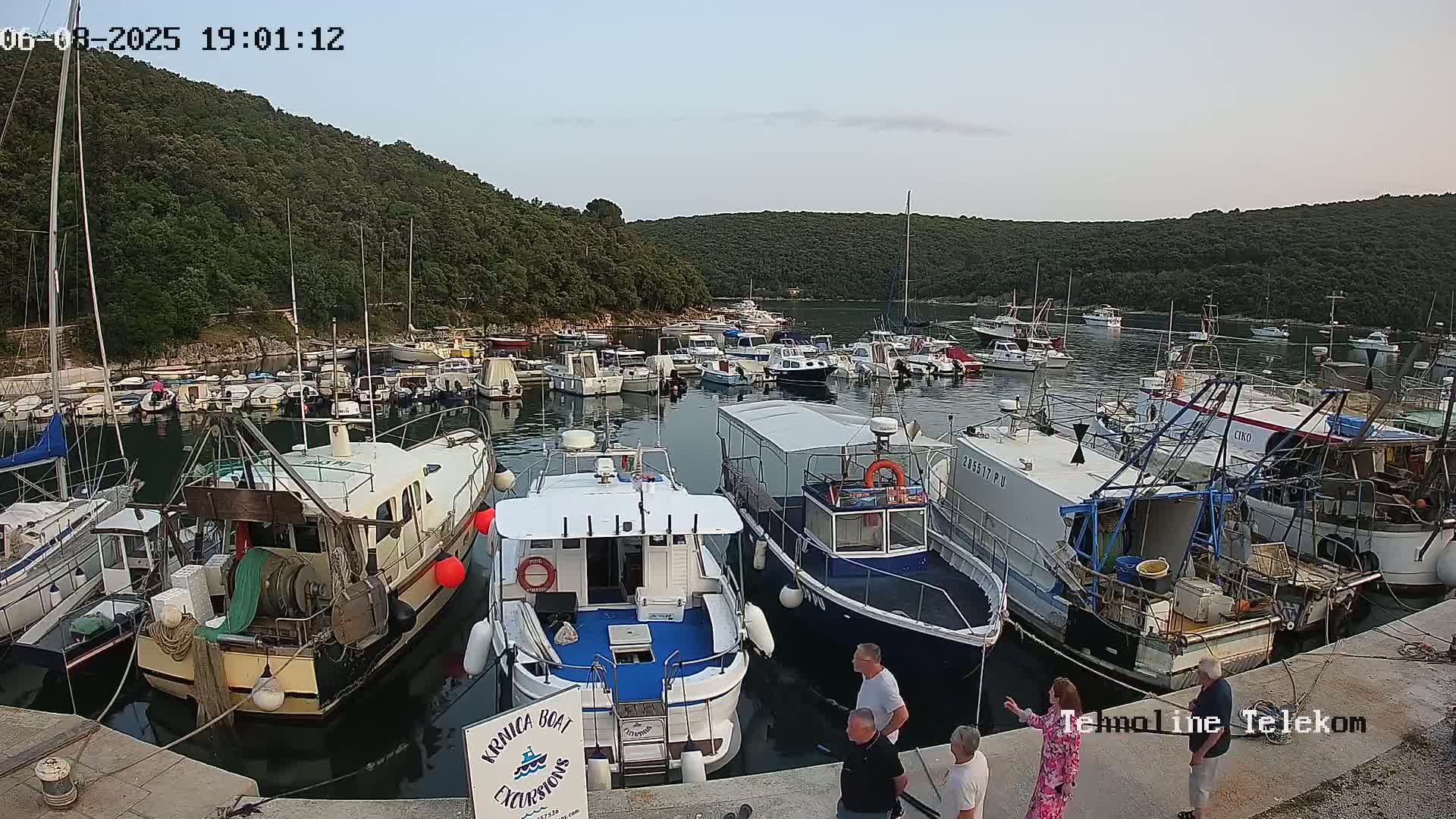 A calm harbor filled with numerous boats of various sizes, nestled against a verdant hillside under a clear, light-grey sky.