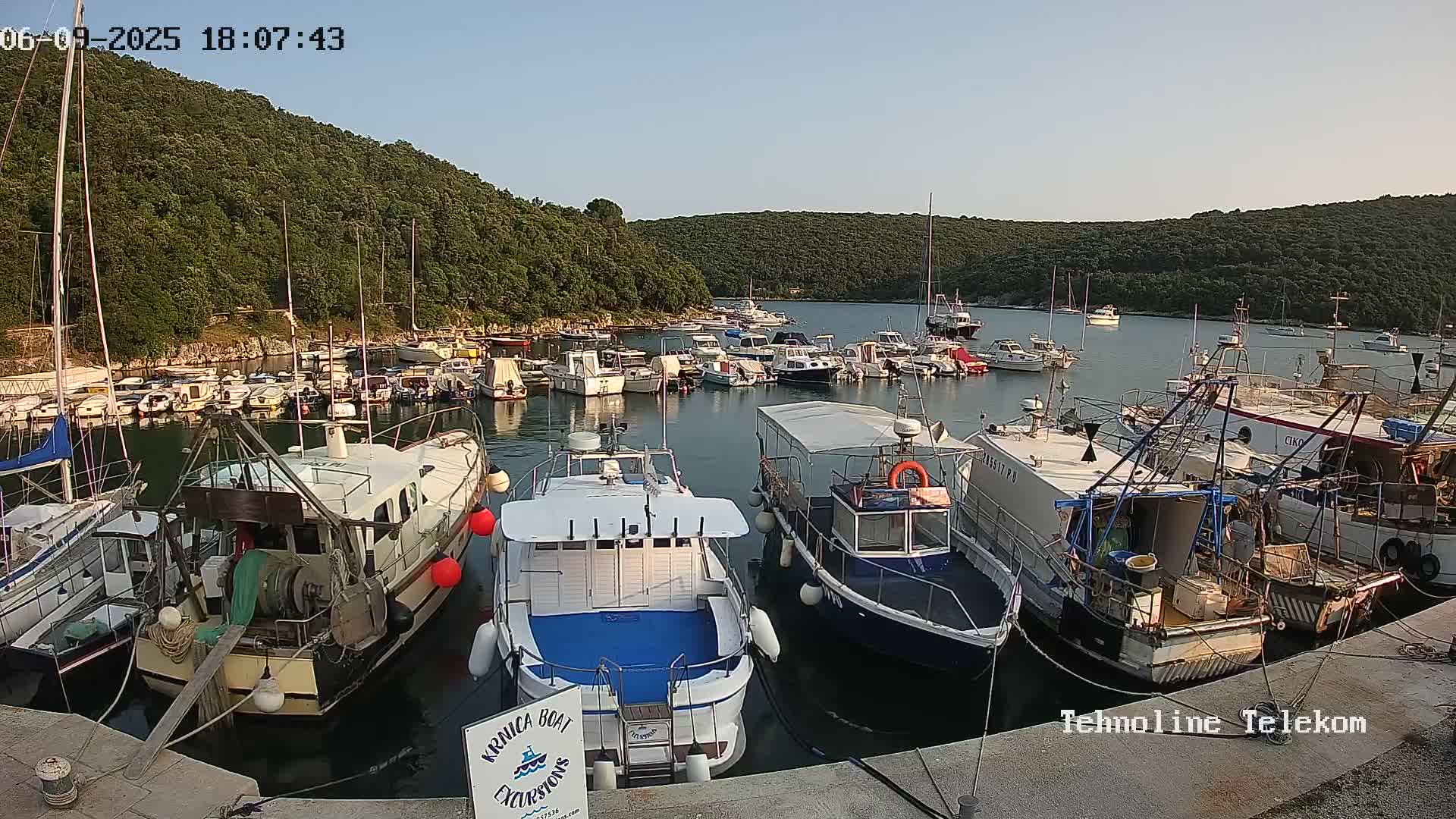A harbor filled with numerous boats of various sizes is nestled against a verdant hillside under a clear, sunny sky.